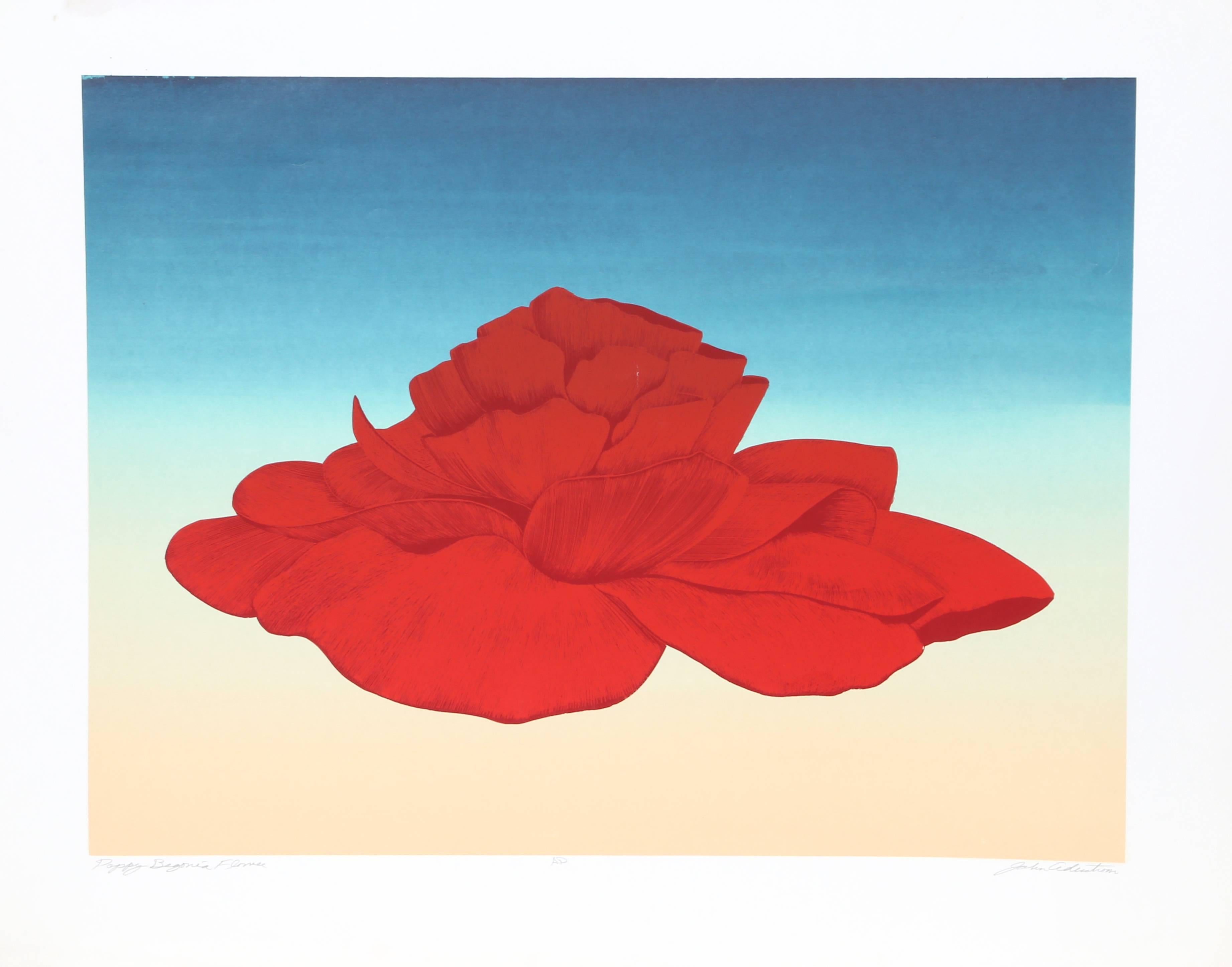 Artista: John Cedarstrom
Título: Amapola Begonia Flor
Año:  hacia 1980 
Medio:  Serigrafía, firmada a lápiz
Edición: AP
Tamaño del papel:  23 x 29 pulgadas