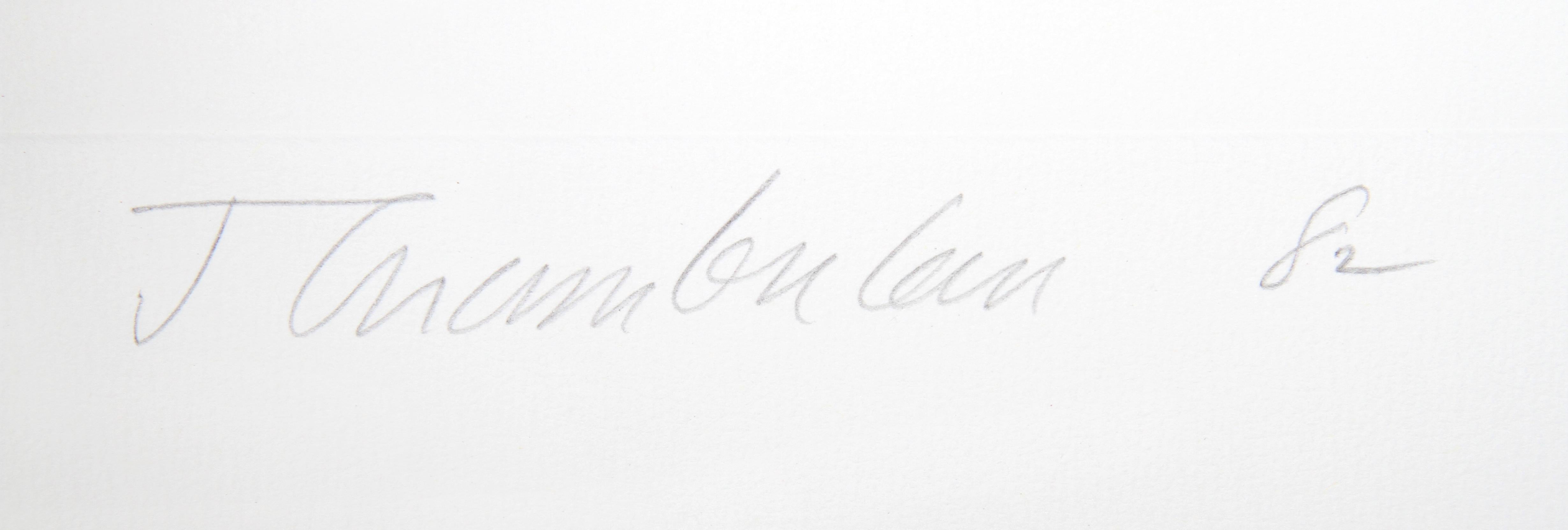 II from the Ten Coconut Suite, Minimalist Etching by John Chamberlain For Sale 1