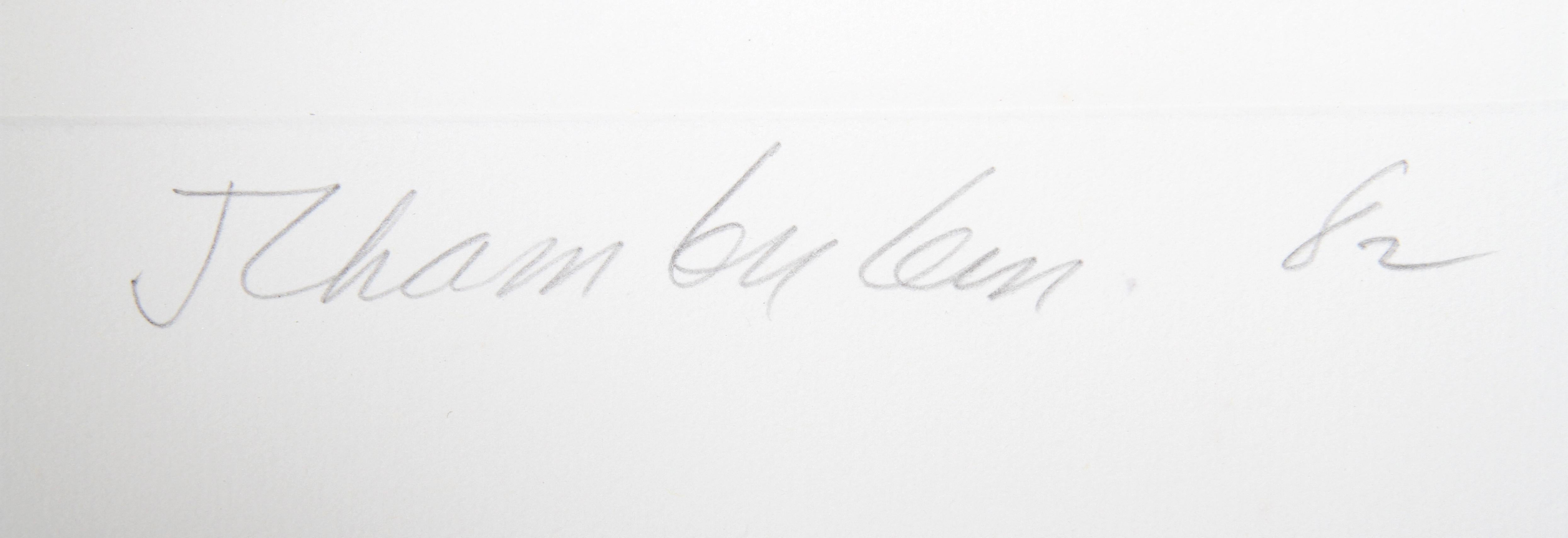 III from the Ten Coconut Suite, Minimalist Etching by John Chamberlain For Sale 1