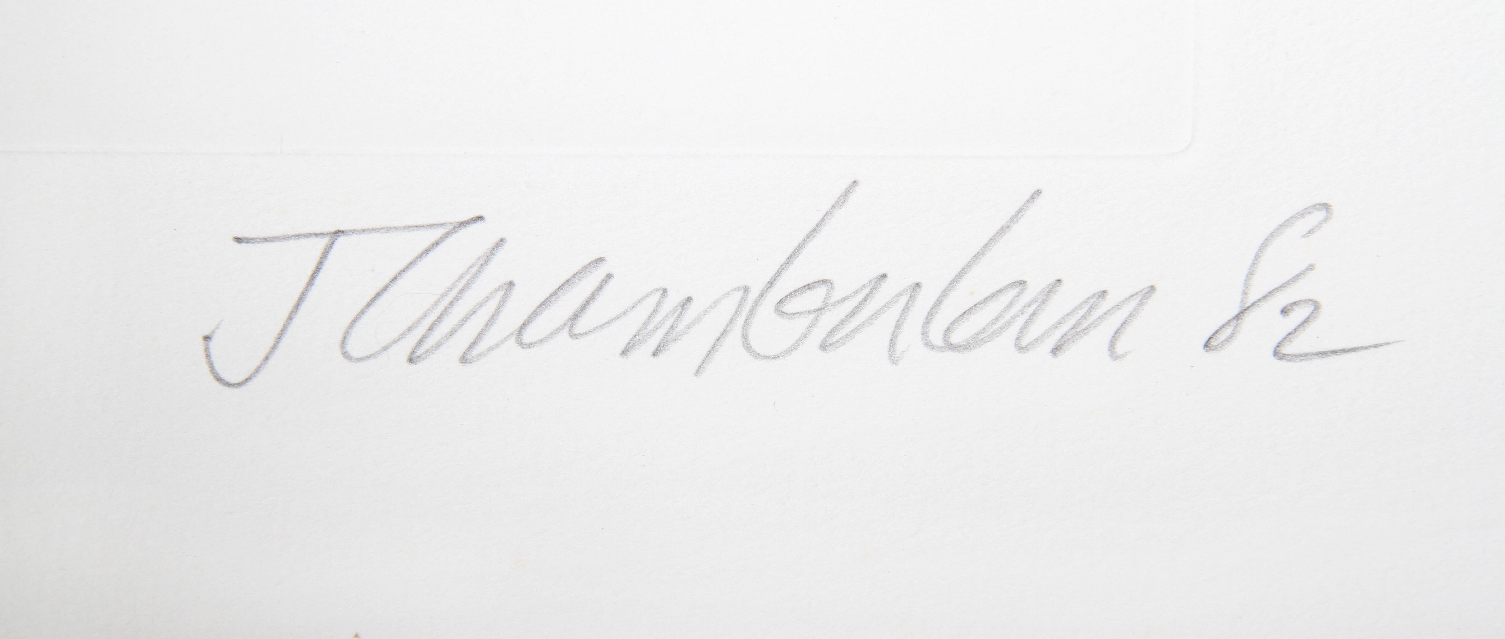 VI (Signaturen) aus dem Zehn Kokosnussholz-Portfolio – Print von John Chamberlain