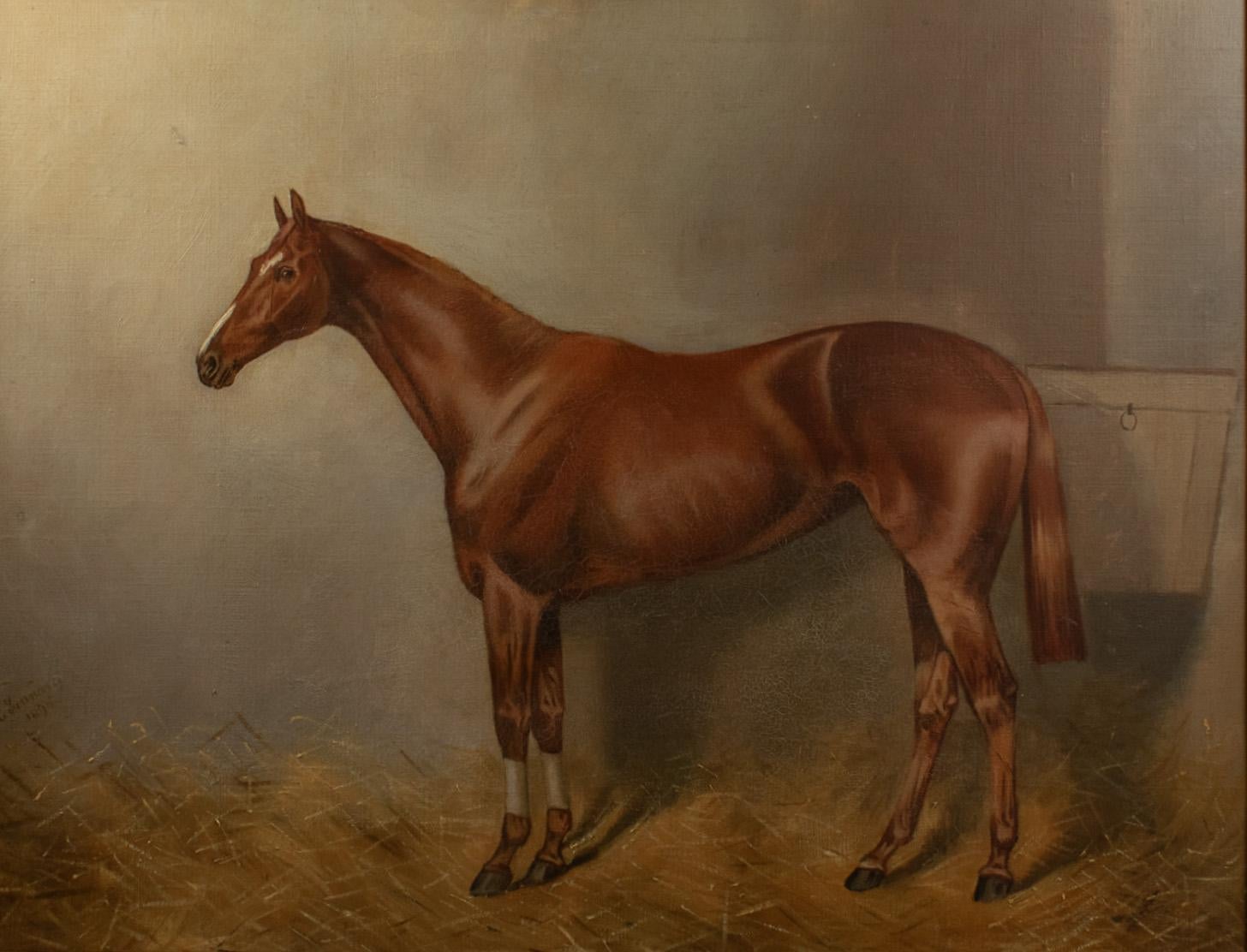 John Charles Tunnard (British, 1873–1960)
Portrait of a Chestnut Racehorse in Stable signed and dated 1895

Oil on canvas, signed and dated lower left.
Unframed size: 47 cm x 63 cm (18.5 in x 24.8 in)

A larger than usual, finely observed equestrian