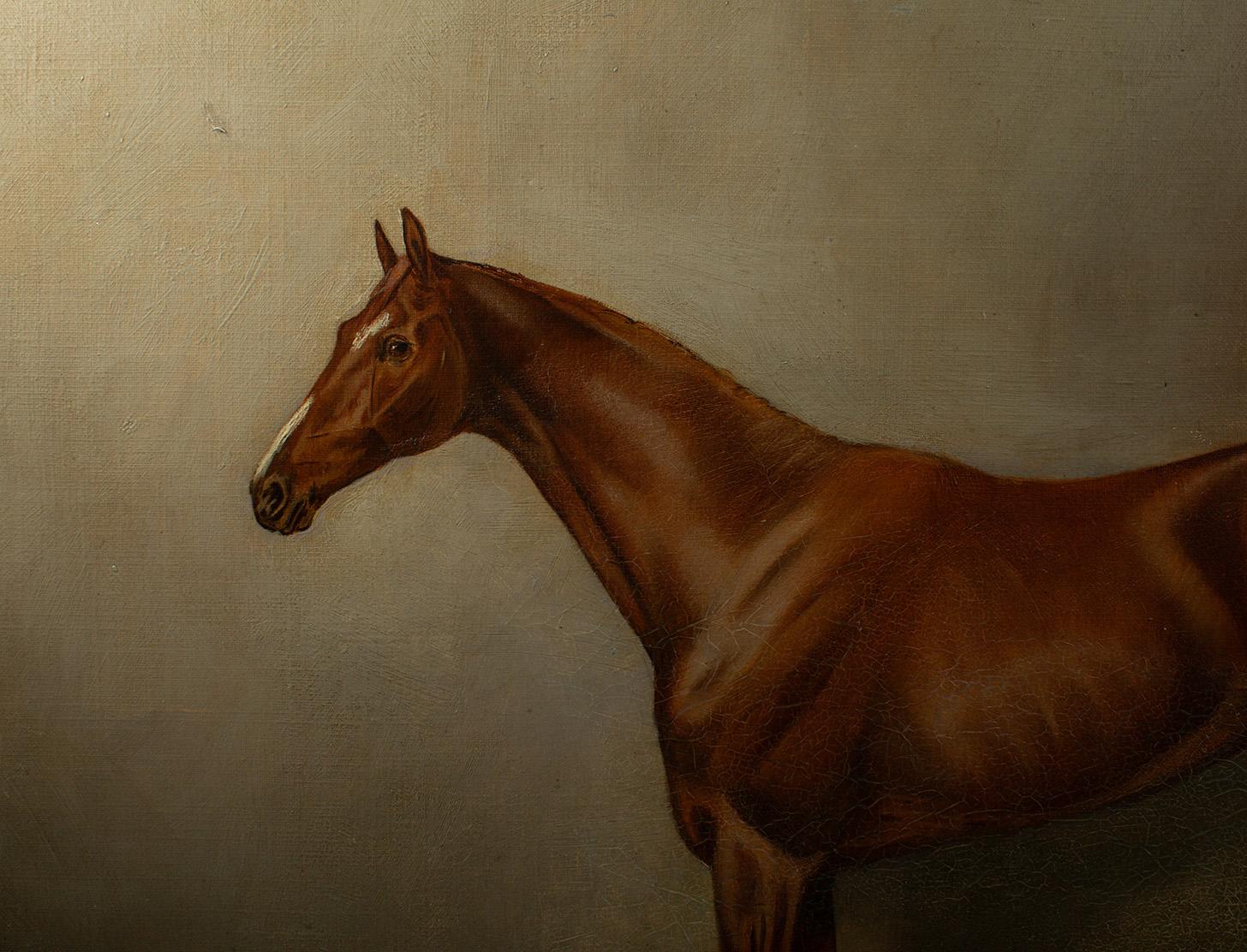 English John Charles Tunnard (British, 1873–1960) Portrait of a Chestnut Racehorse For Sale