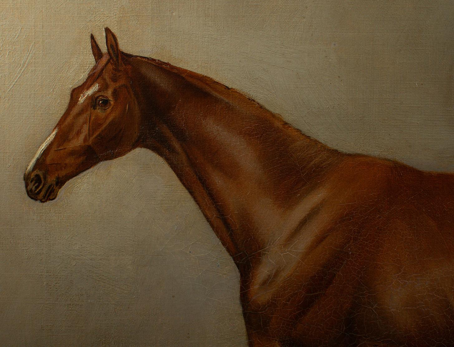 John Charles Tunnard (British, 1873–1960) Portrait of a Chestnut Racehorse In Good Condition For Sale In TEYJAT, FR