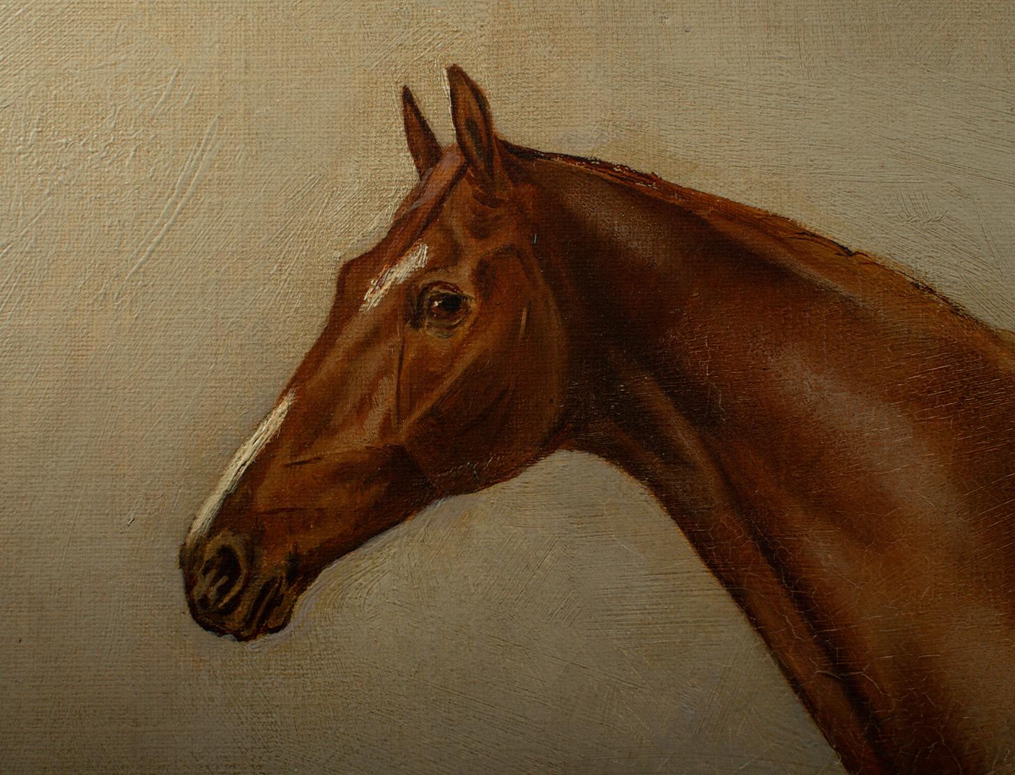 19th Century John Charles Tunnard (British, 1873–1960) Portrait of a Chestnut Racehorse For Sale