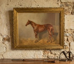 John Charles Tunnard (britannique, 1873-1960) Portrait d'un cheval de course alezan