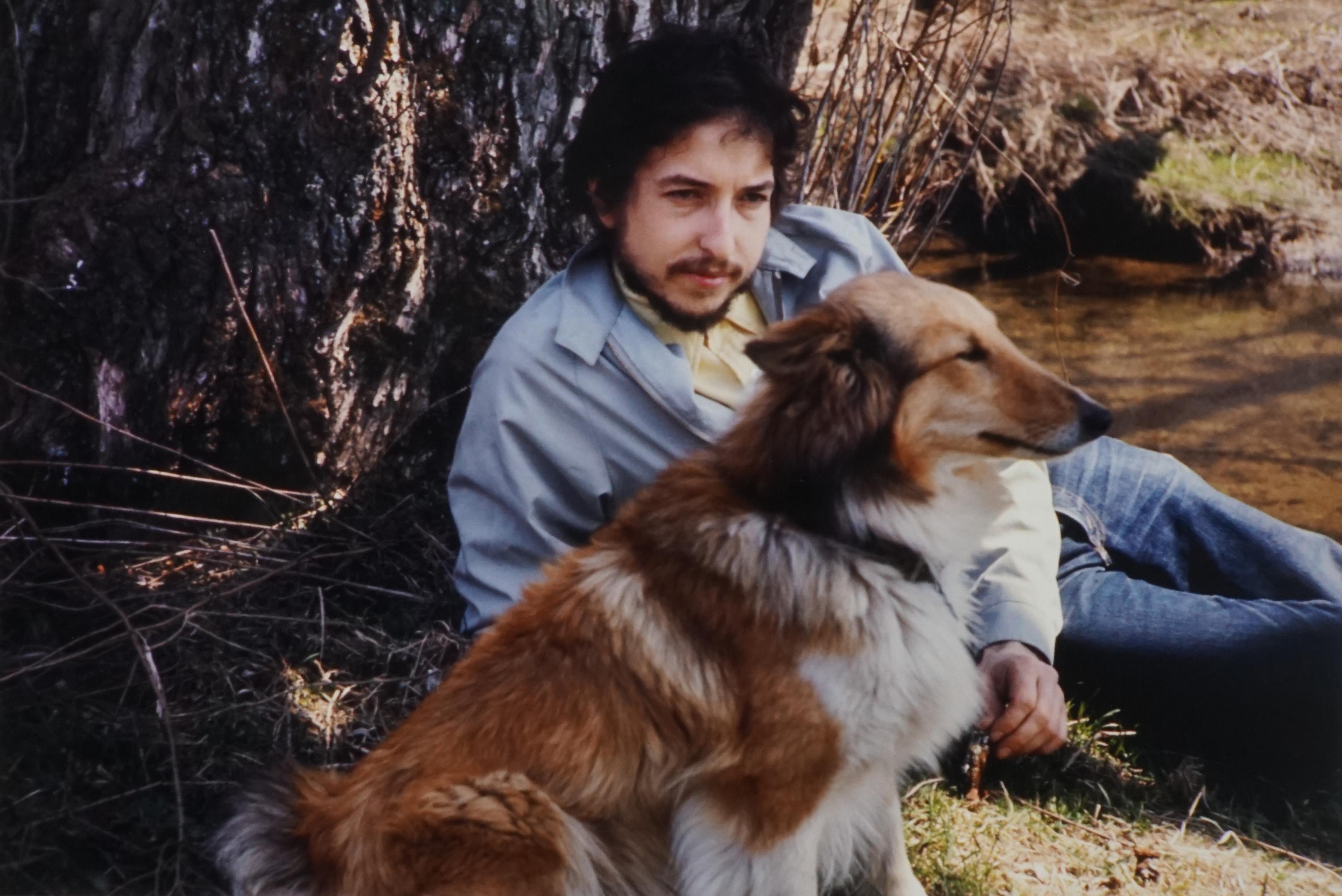 John Cohen Color Photograph - Bob Dylan (Lying Under Tree with Dog), 1970