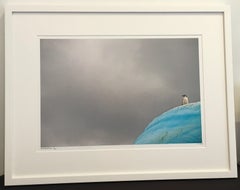 Antarctica #2, Limited Edition, Photograph, Penguin, Iceberg, Framed, Kids Decor