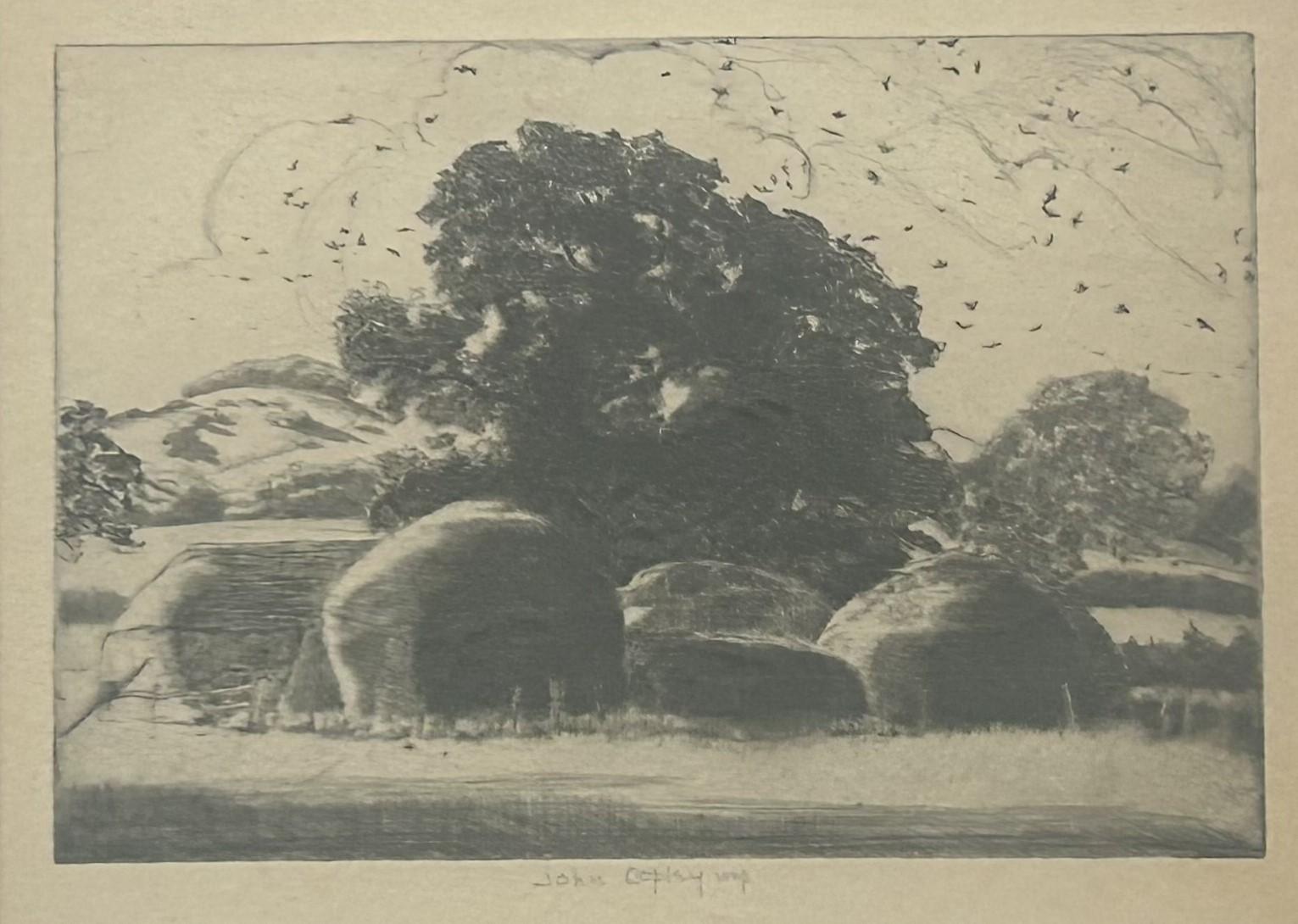 Vögel am Abend – Print von John Copley