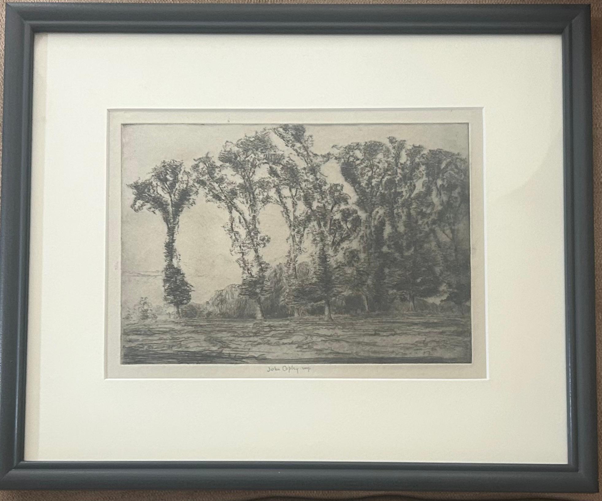 Wych Elms - Print de John Copley