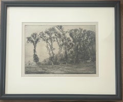 Wych Elms