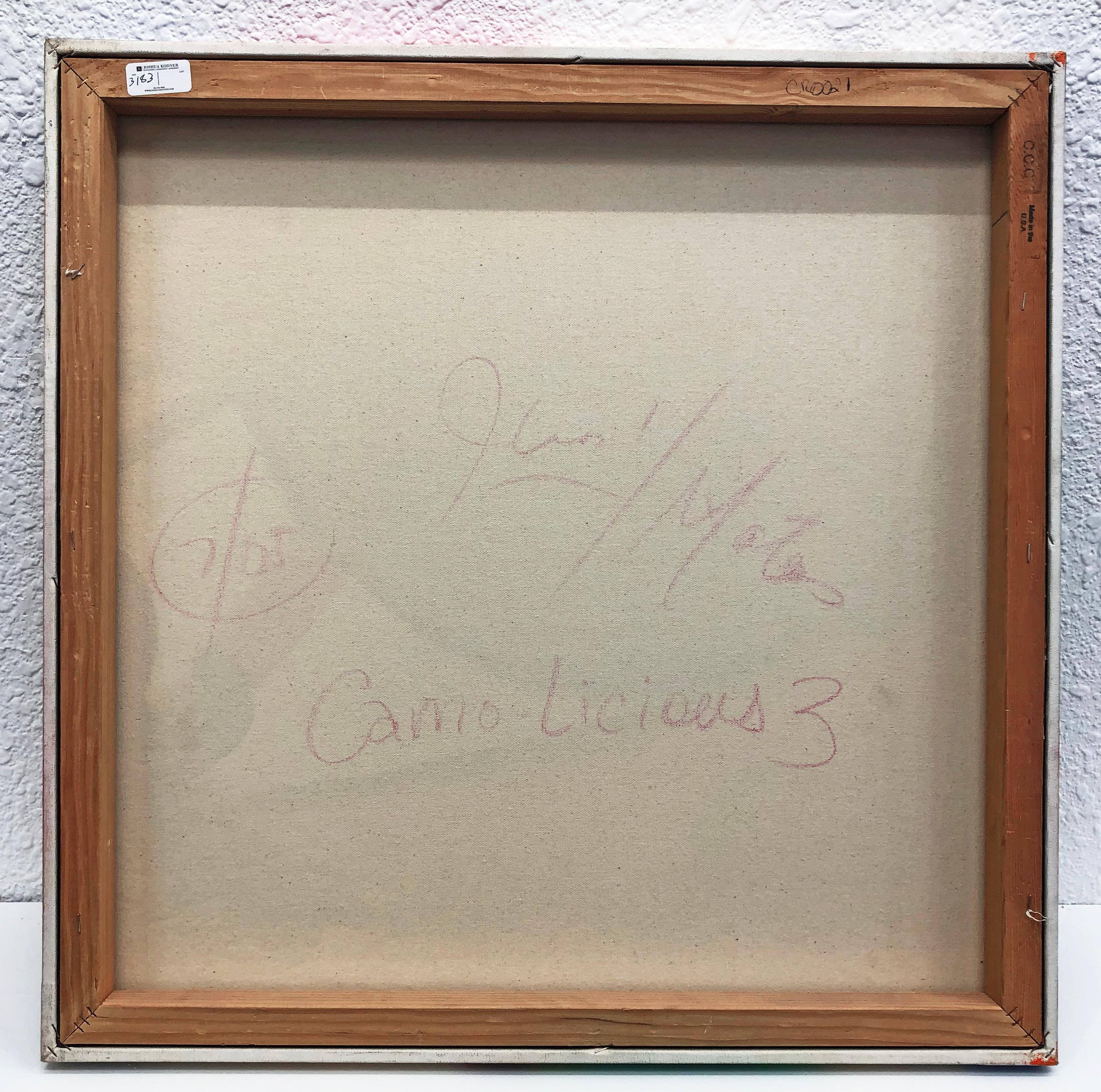 Camo Licious 3 (Graffiti-Gemälde) im Angebot 1