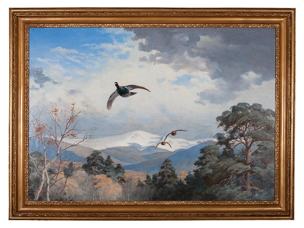 John Cyril Harrison Animal Painting - Cappercaillie