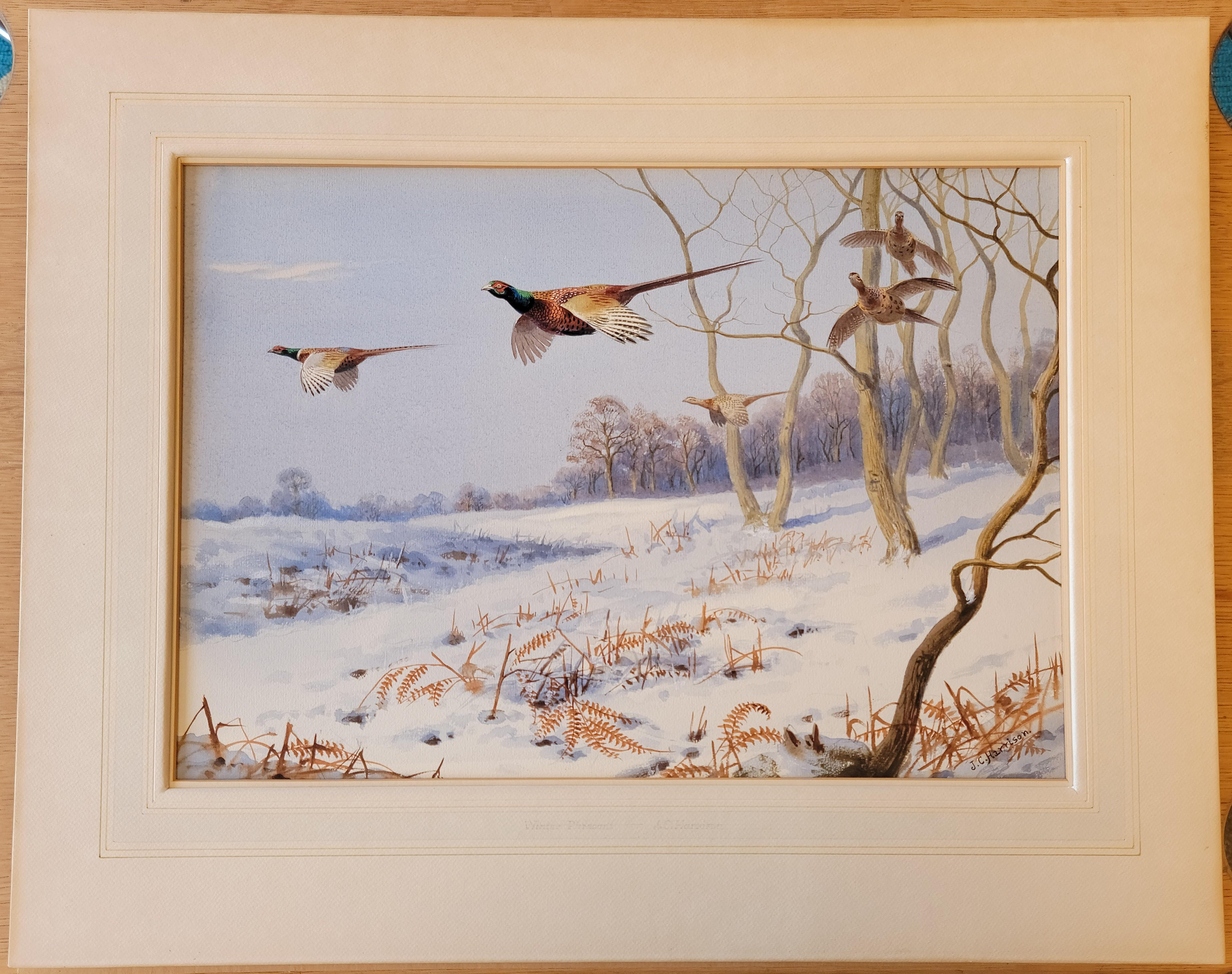 Winter Pheasants, c. 1925-1930, Watercolor by John Cyril Harrison For Sale 1