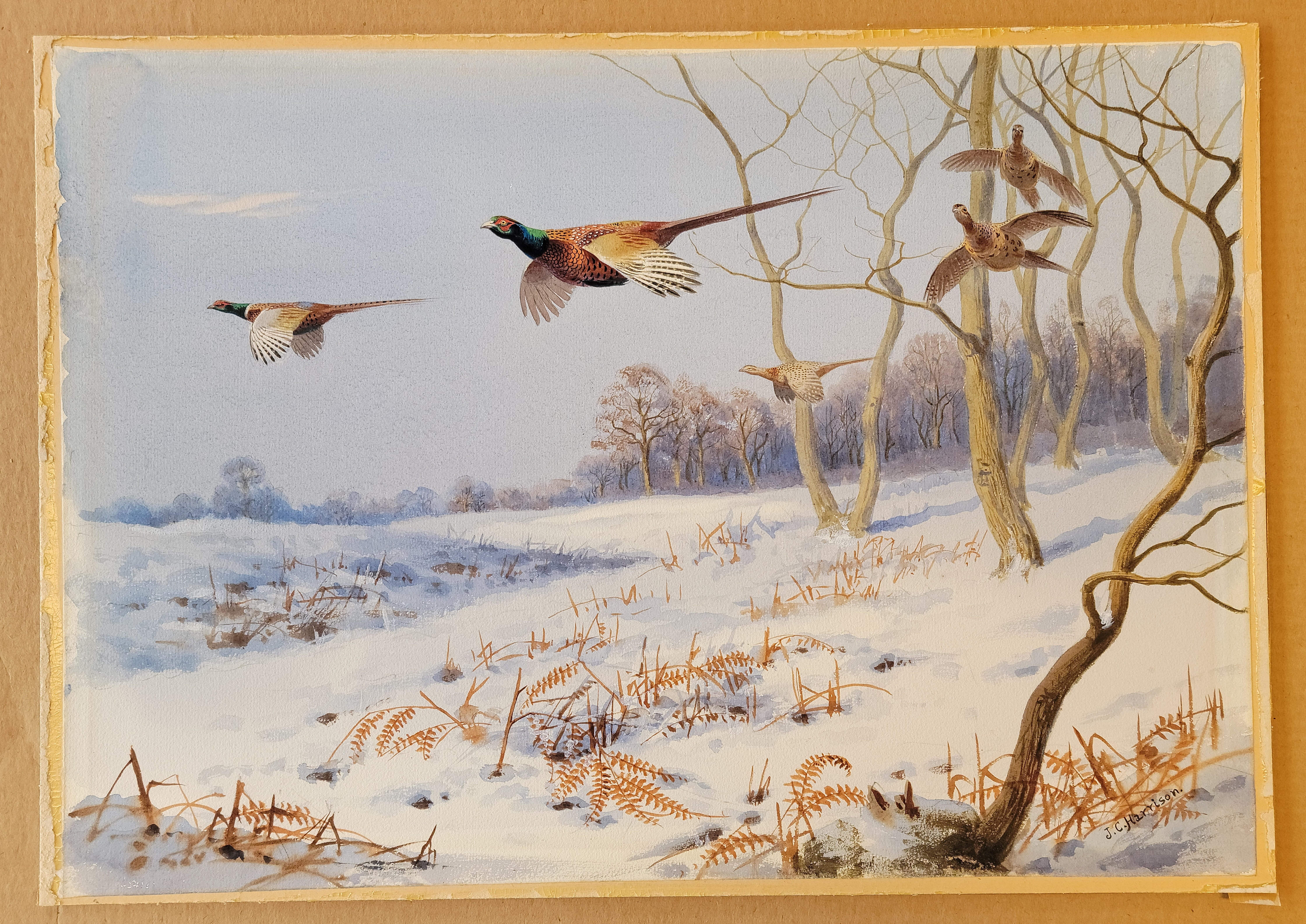Winter Pheasants, c. 1925-1930, Watercolor by John Cyril Harrison For Sale 2