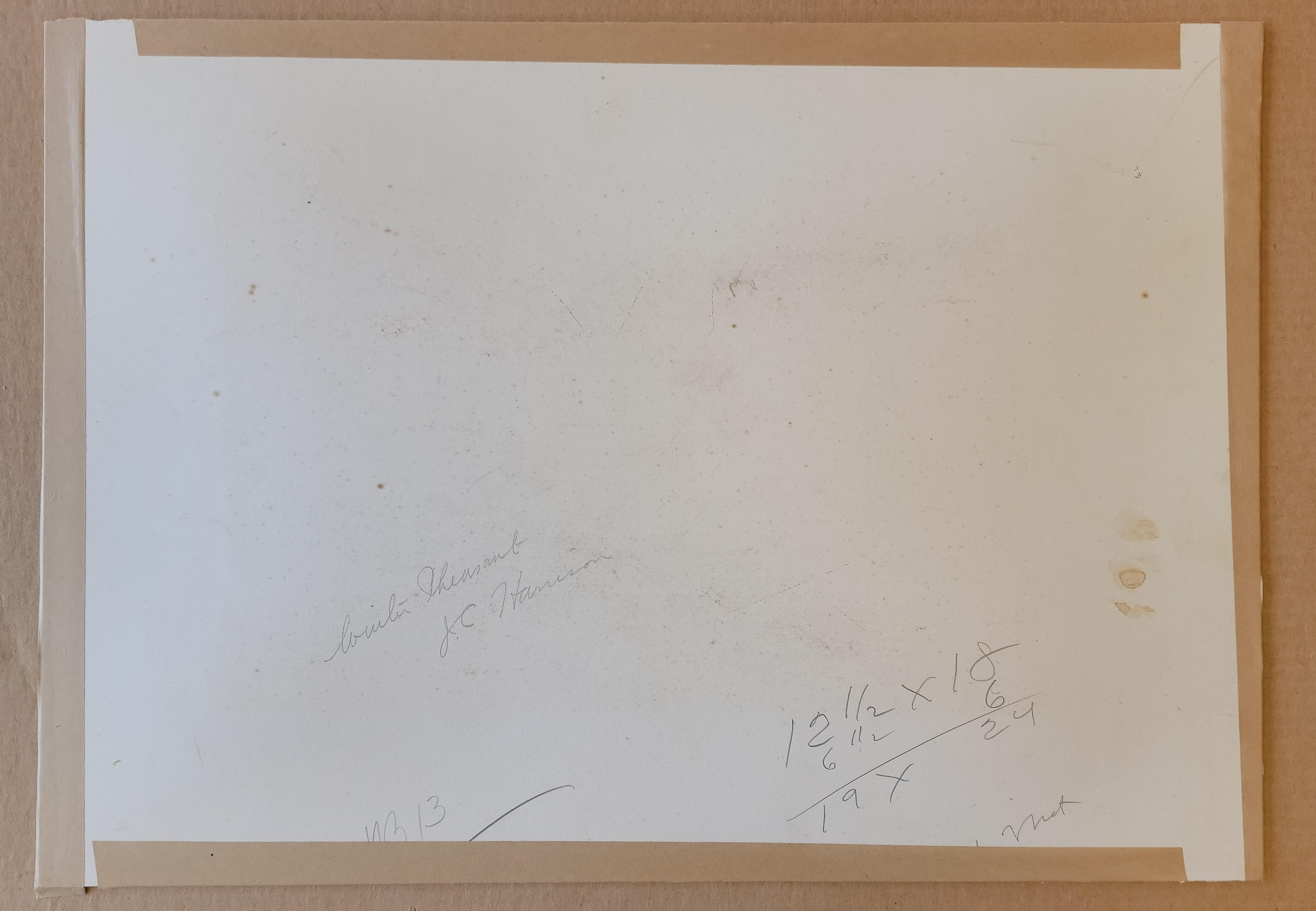 Fagiani d'inverno, 1925-1930 circa, acquerello di John Cyril Harrison in vendita 4