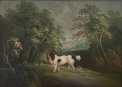 Animal Paintings