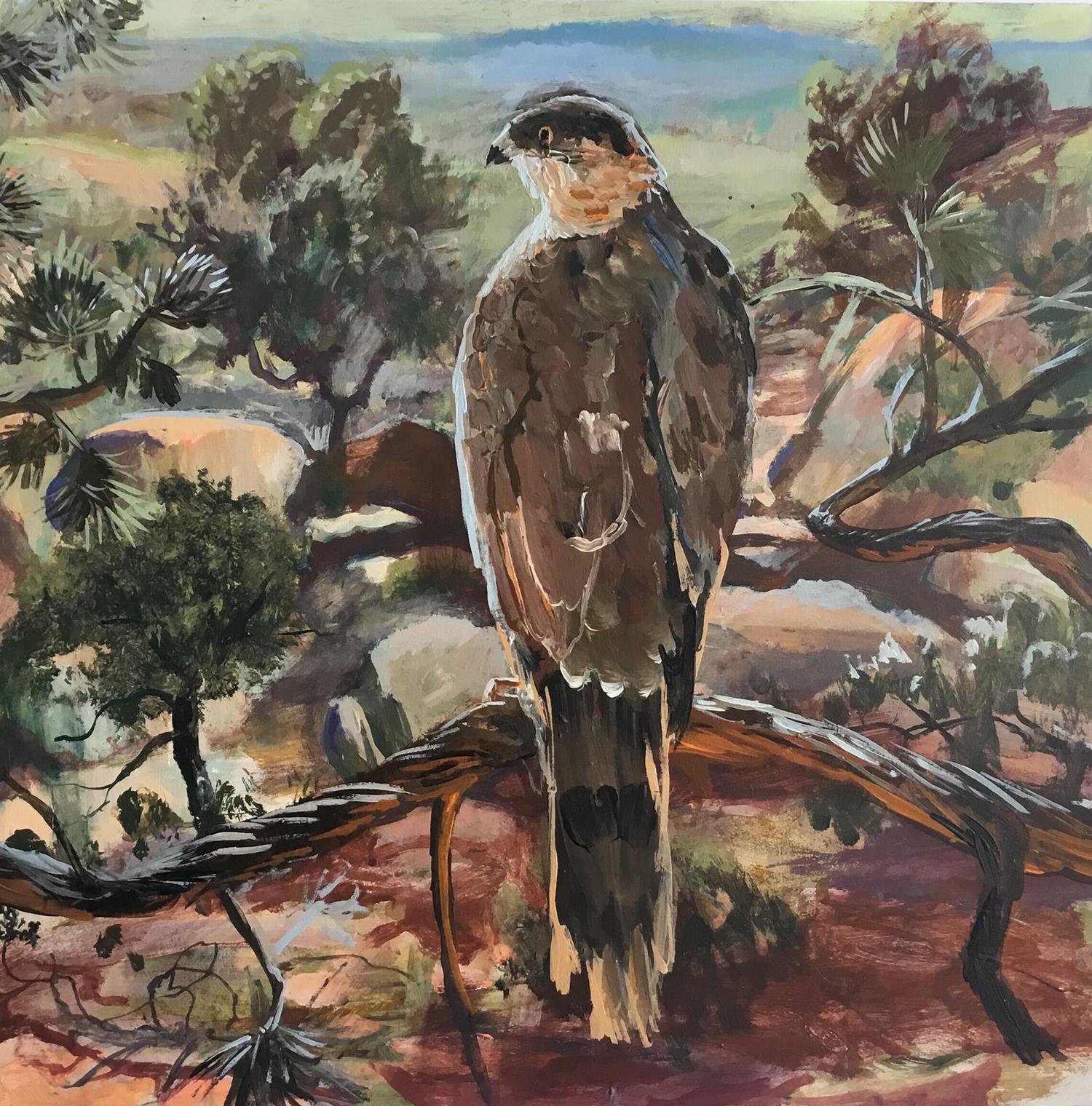 John Defeo Animal Painting - Red Tailed Hawk