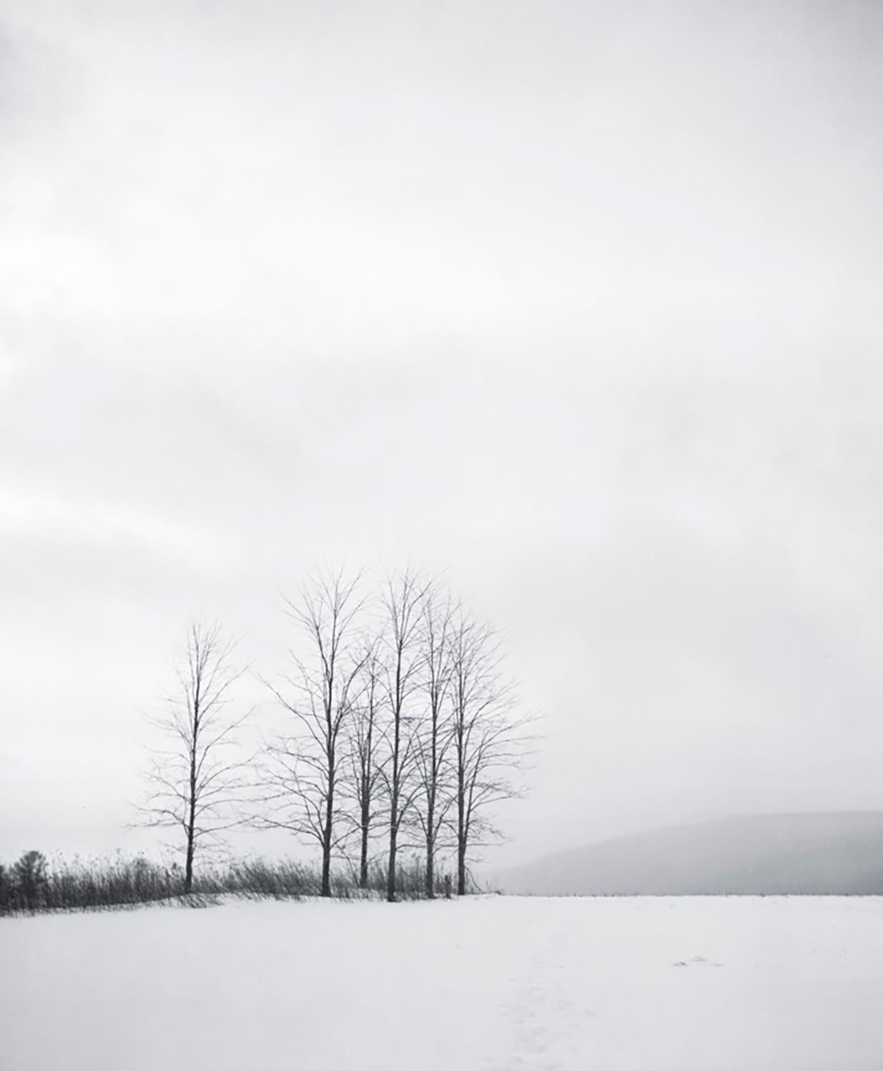 Maple Hill, West Stockbridge, Massachusetts
