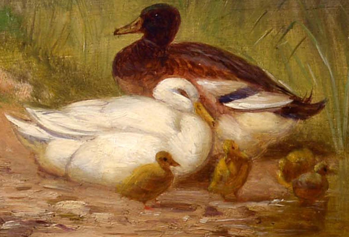 Mañana junto al estanque, John Henry Dolph, Realismo, Óleo sobre tabla, Patos, Aves, Aves de corral - Painting Realista de John Dolph