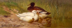 Morning presso lo stagno, John Henry Dolph, Realismo, Olio su pannello, Anatre, Uccelli, Uccellacci