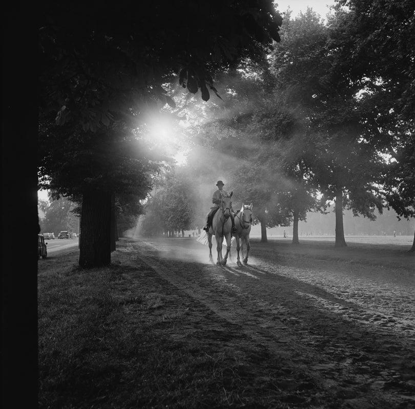 "Rotten Row" by John Downing

Horse riding on Rotten Row, in London's Hyde Park, circa 1965.

Unframed
Paper Size: 20" x 20'' (inches)
Printed 2022 
Silver Gelatin Fibre Print