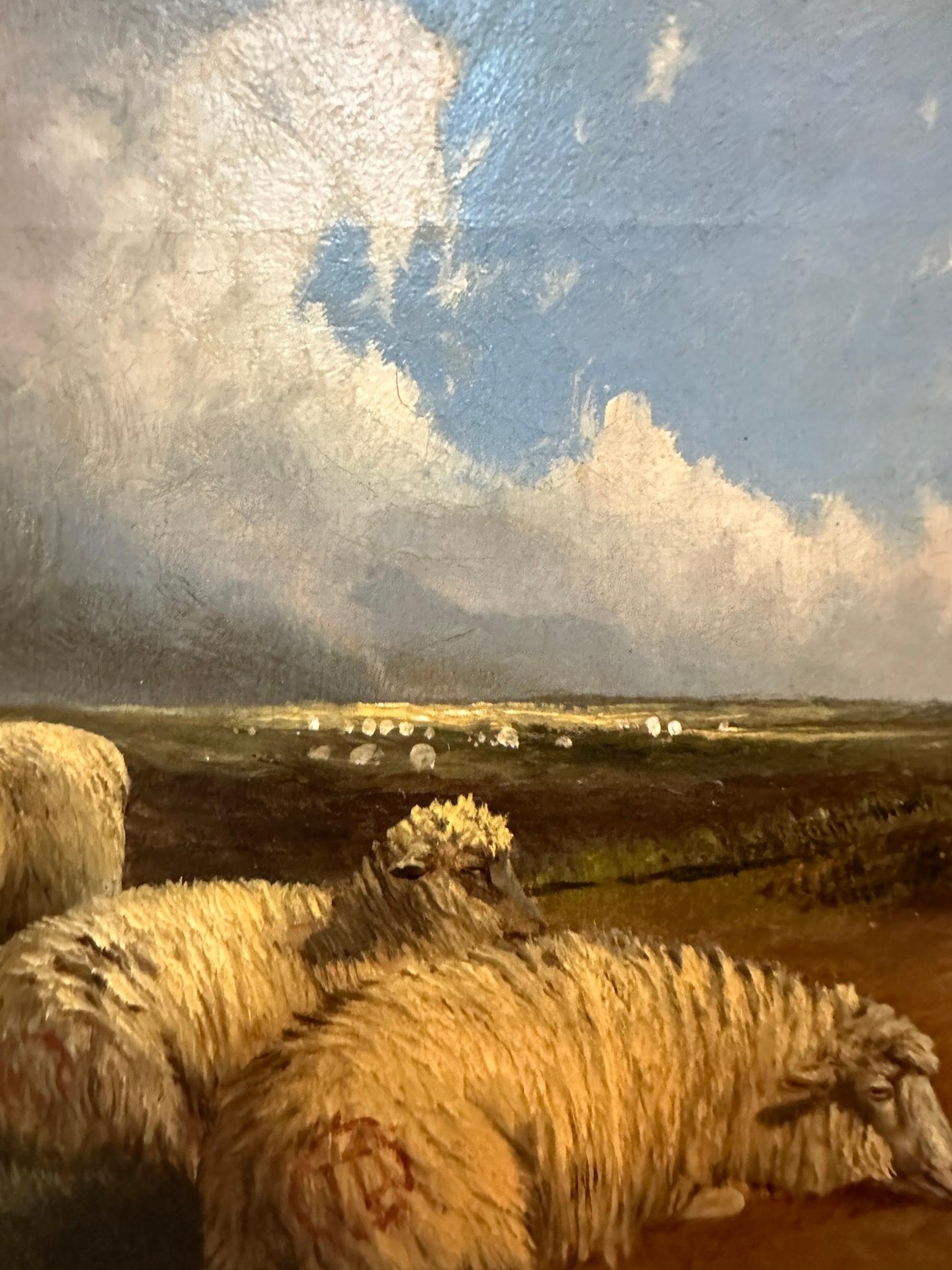 Victorian 19th century Moorland landscape with Sheep grazing and resting For Sale 1