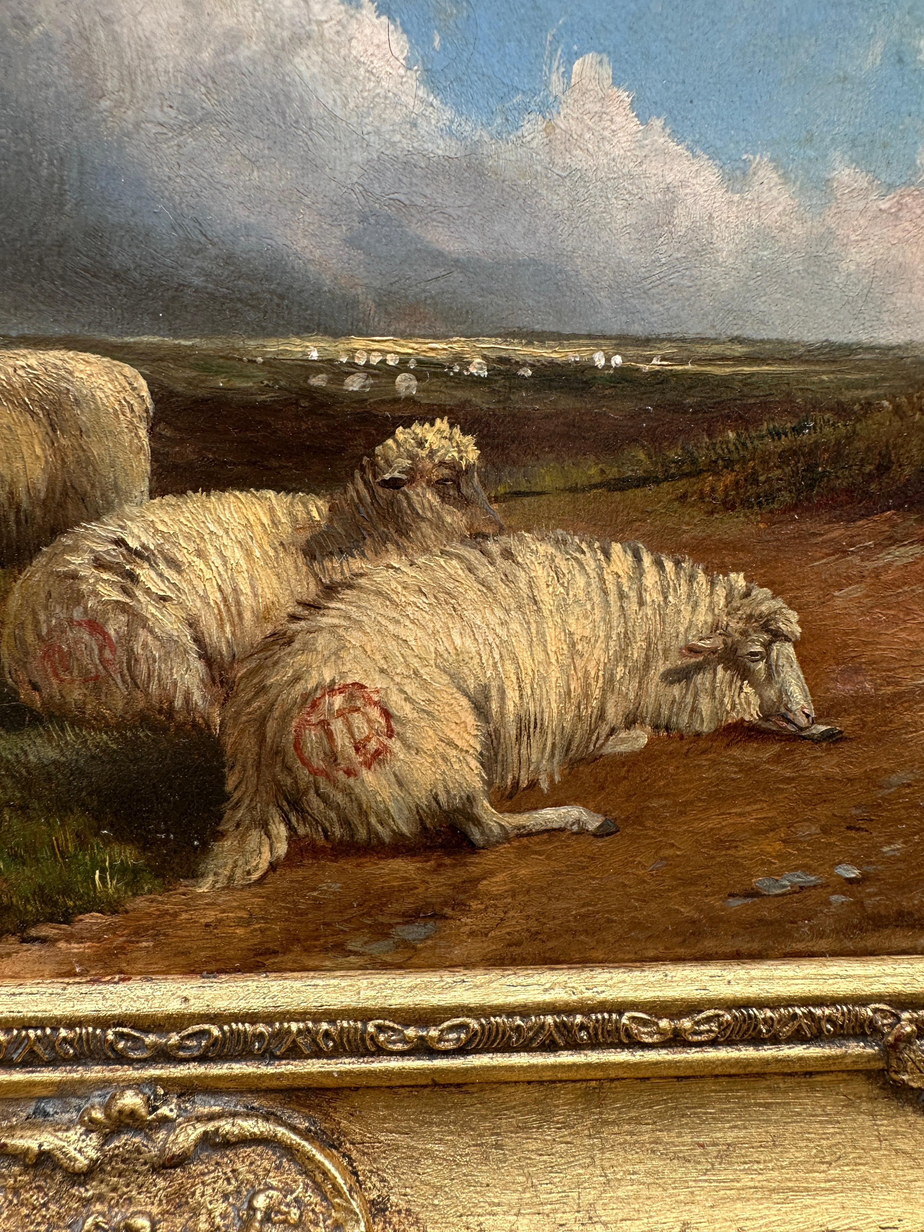 Viktorianische Moorlandschaft des 19. Jahrhunderts mit Weinreben und Ruhe von Schafen im Angebot 4