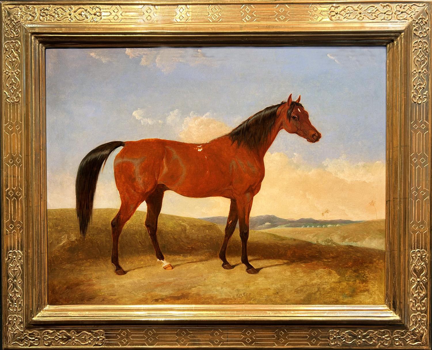 John E. Ferneley, Snr. Animal Painting - Portrait of an Arabian Bay in an Orientalist Landscape