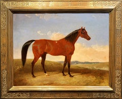 Pinturas de animales