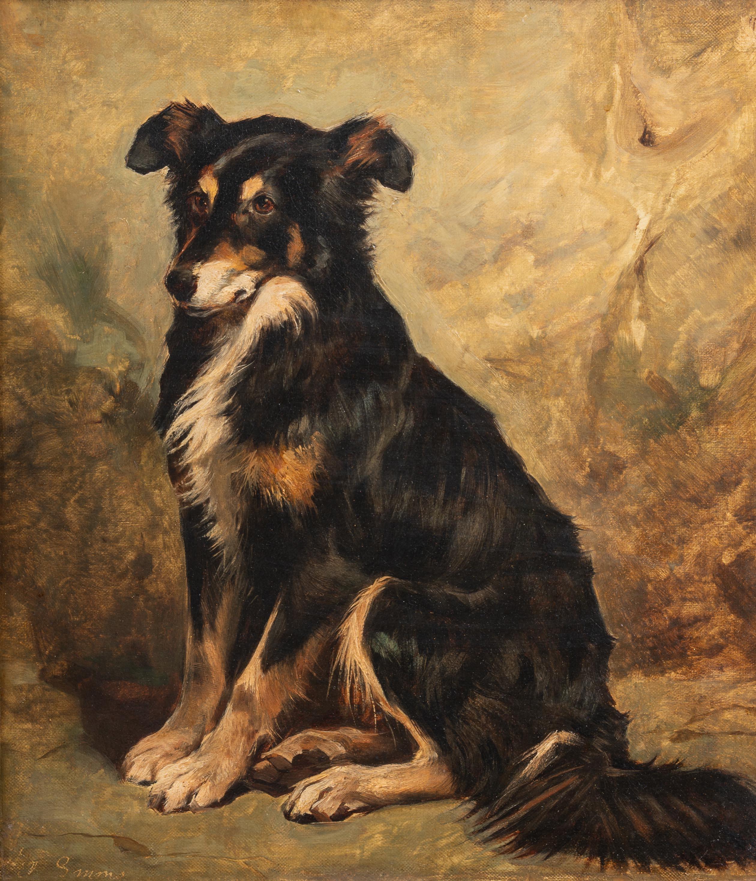 Un Collie sentado - Painting de John Emms