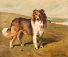 "Bob", un Colli in un paesaggio