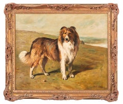 « Bob » un collier dans un paysage