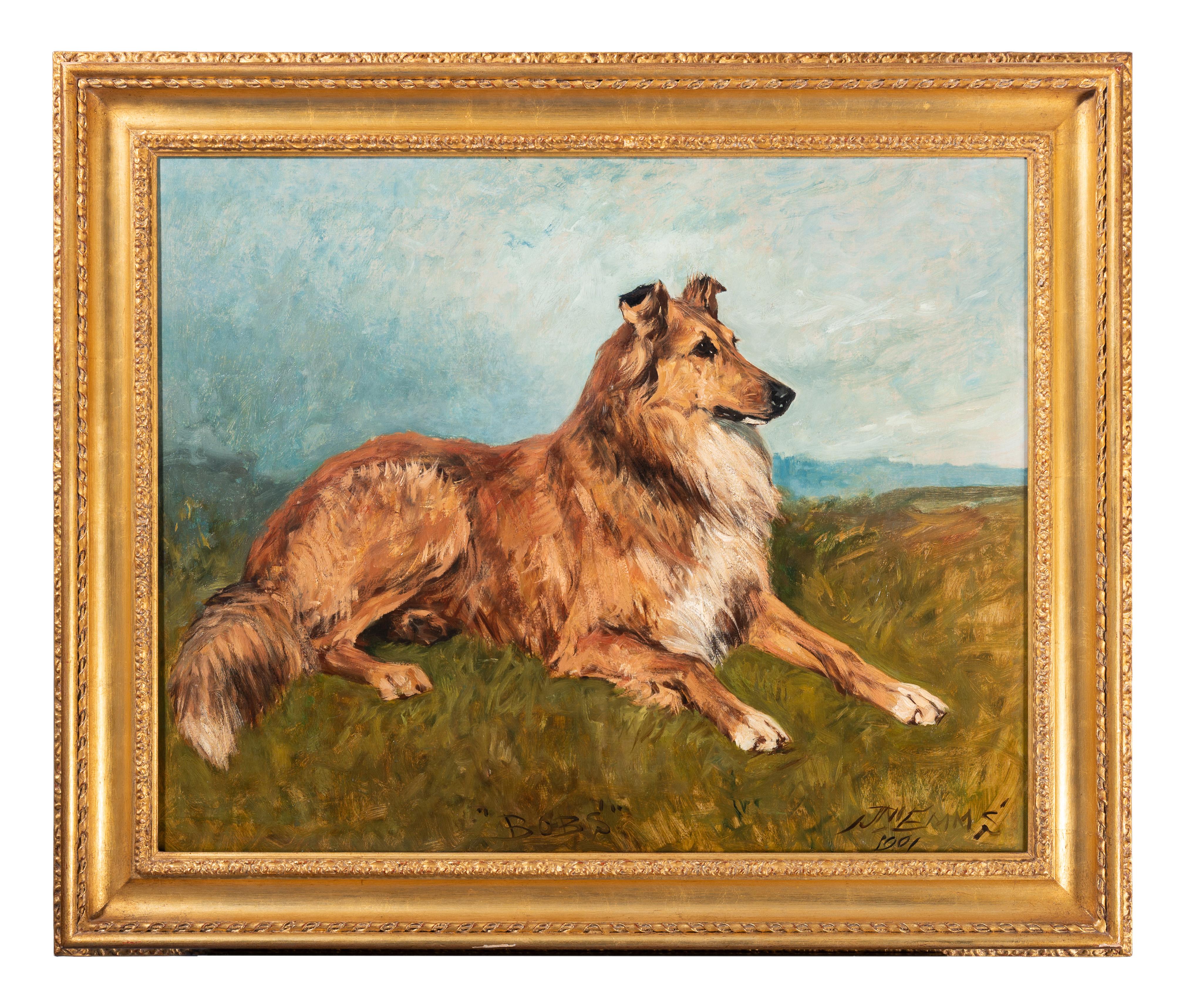 "Bobs" a collie
