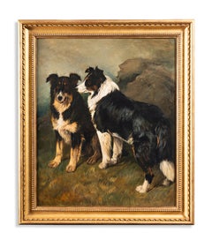 Collies in einer Landschaft
