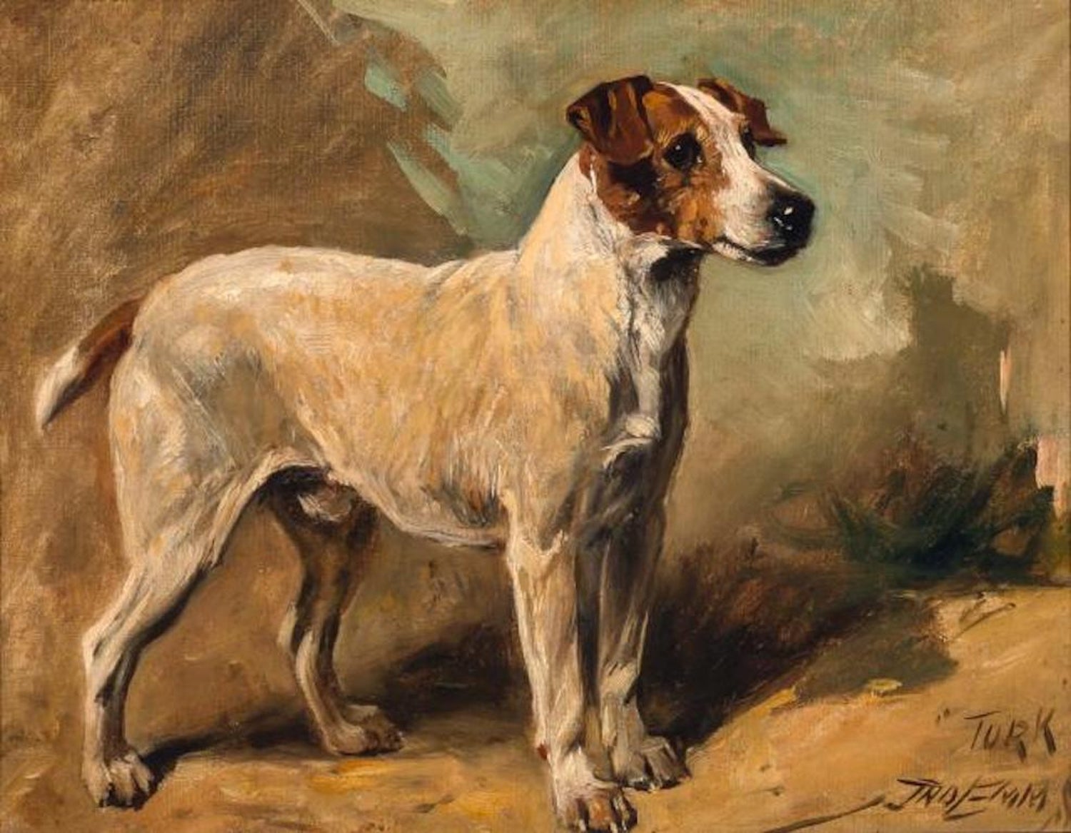 John Emms - John Emms dog painting of &#39;Turk&#39; A Jack Russell Terrier at 1stDibs