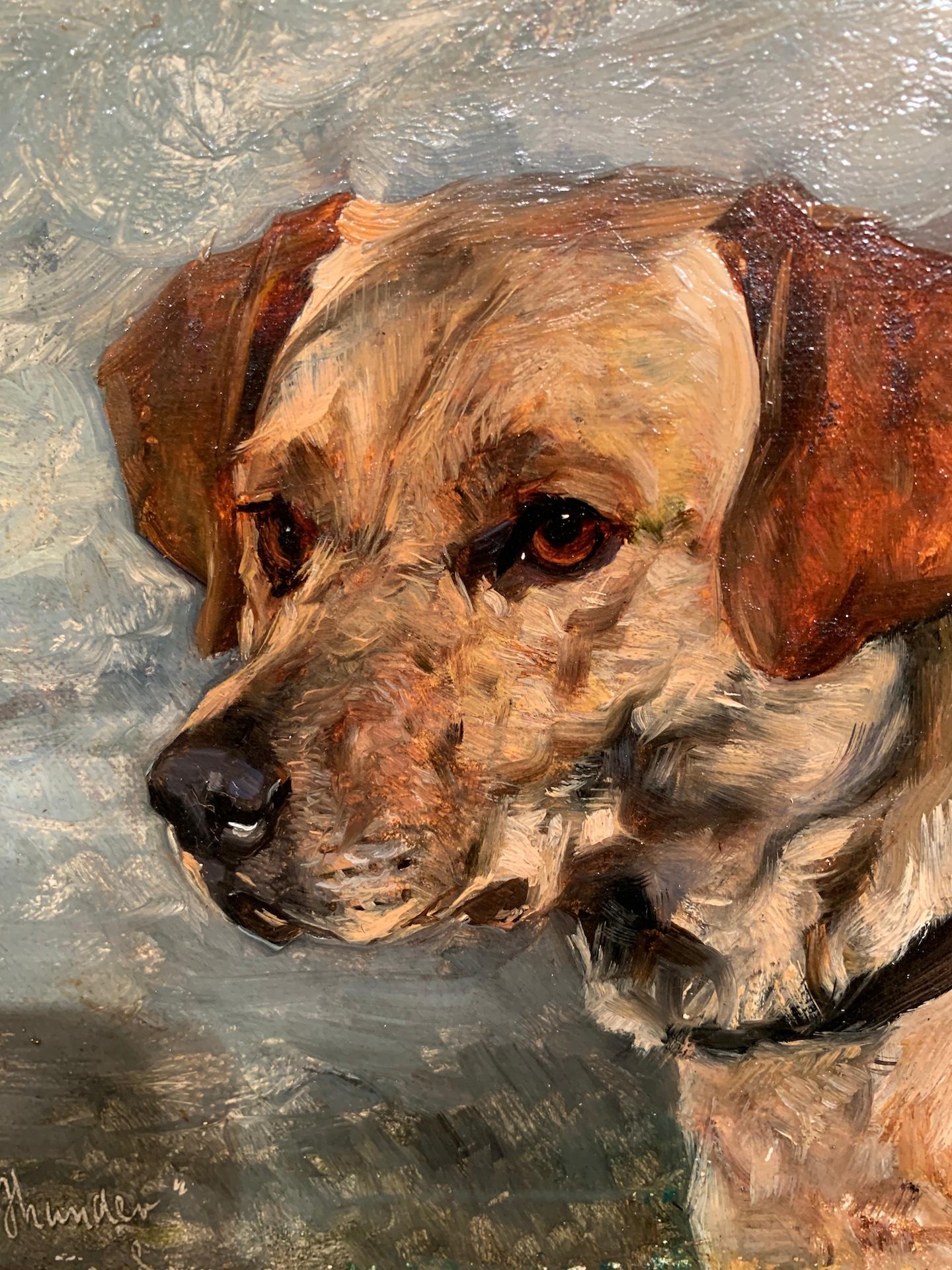 dog head portraits