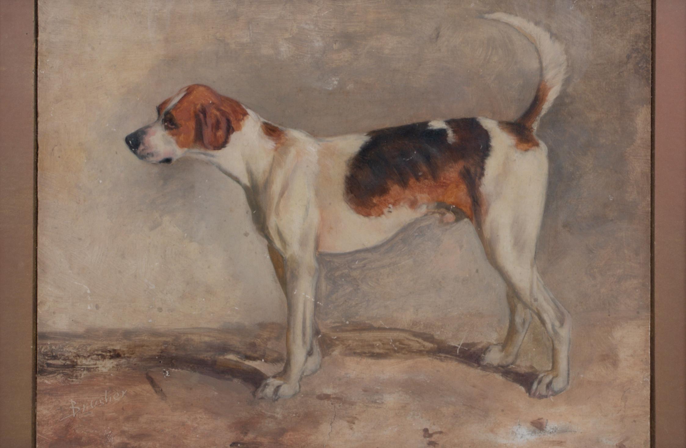 Portrait Of A Brush, A New Forest Foxhound, 19th Century 

JOHN EMMS (1843-1912) 

19th Century portrait of Brusher and New Forest Foxhound, oil on panel by John Emms. Excellent quality and condition side profile of the owners pack favourite. Titled