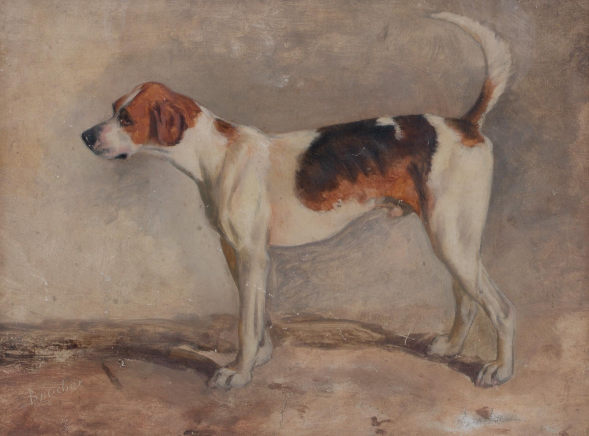 Portrait Of A Brush, A New Forest Foxhound, 19th Century   JOHN EMMS (1843-1912) 2