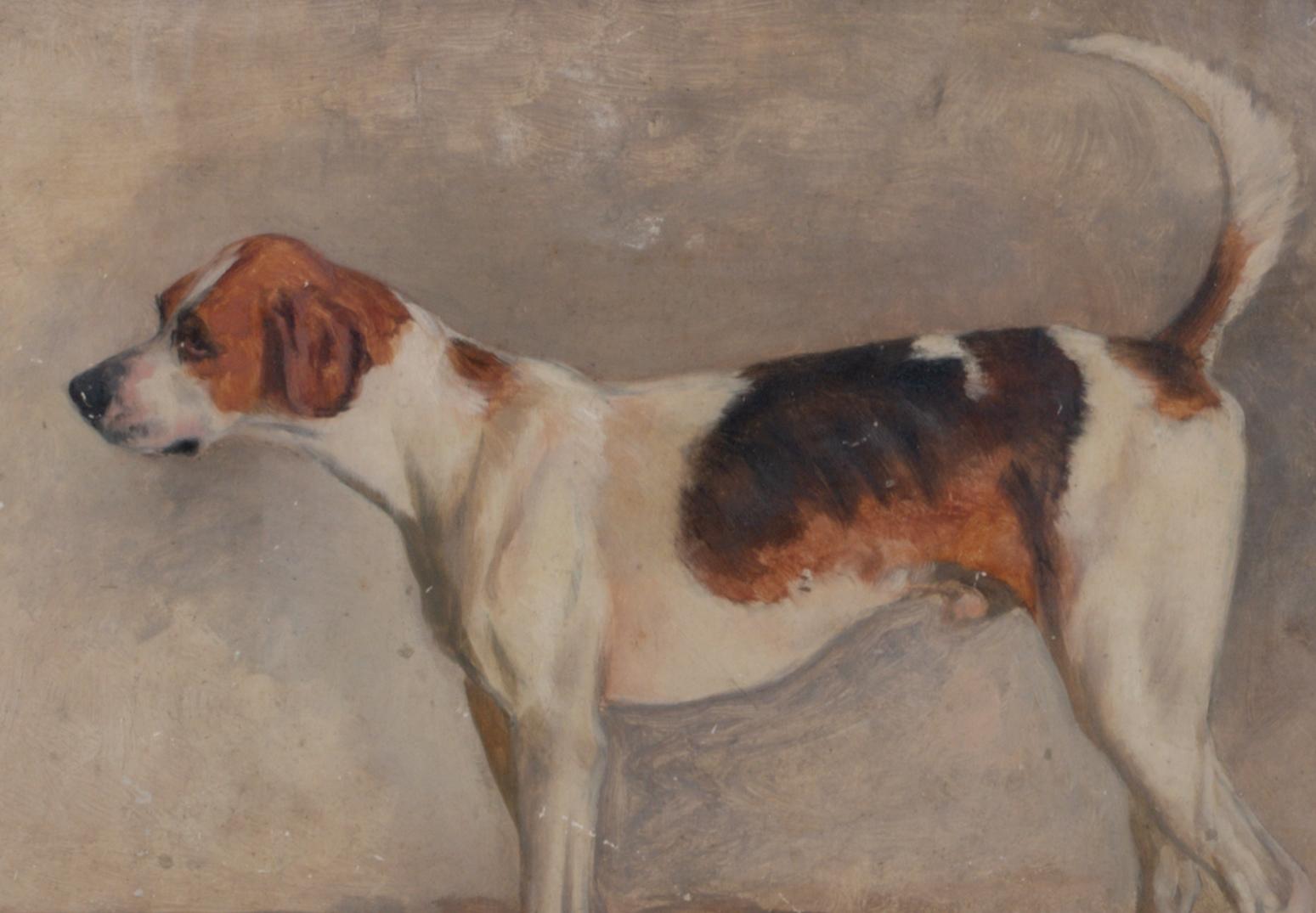 Portrait Of A Brush, A New Forest Foxhound, 19th Century   JOHN EMMS (1843-1912) 4