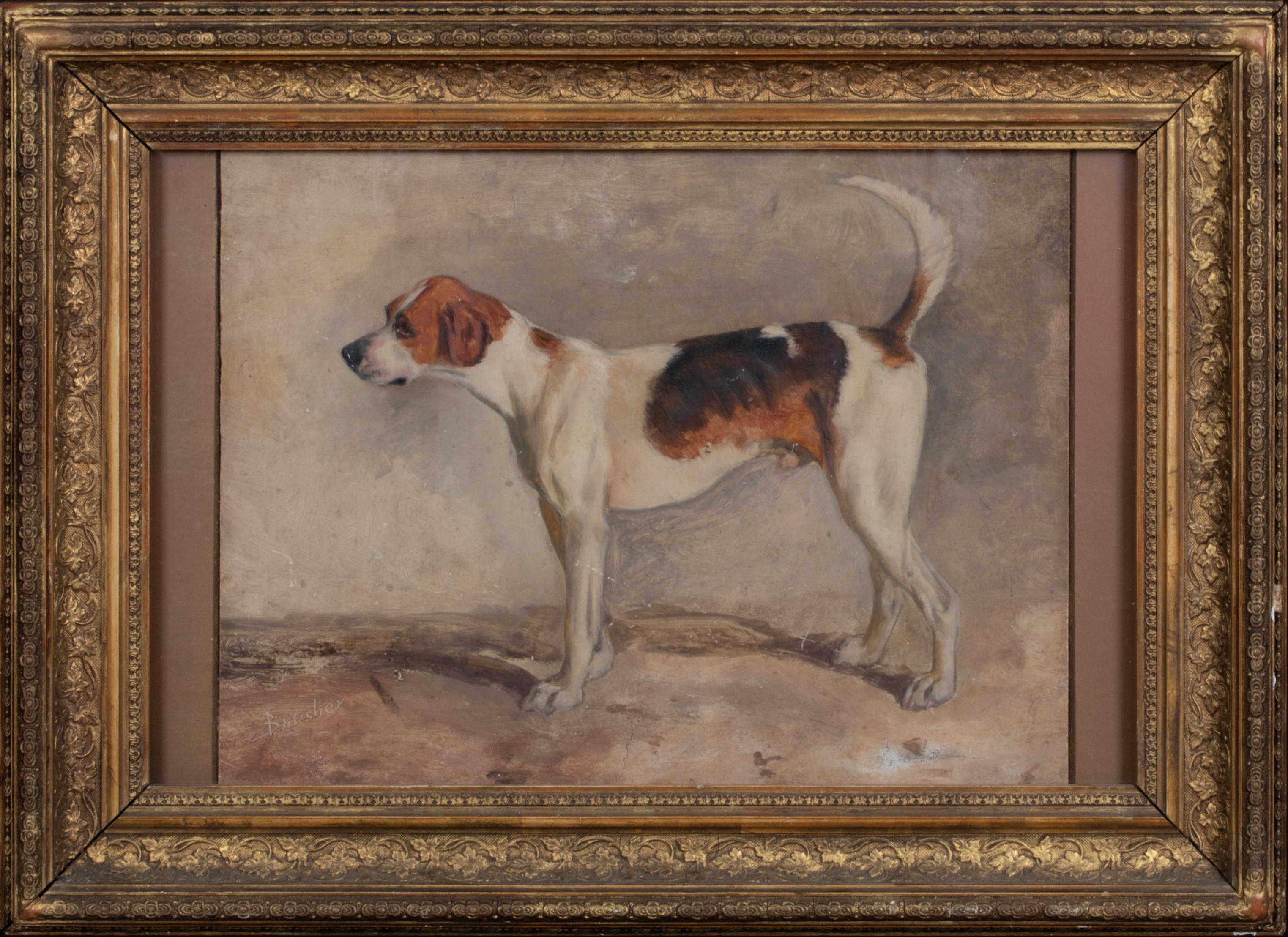 John Emms Landscape Painting - Portrait Of A Brush, A New Forest Foxhound, 19th Century   JOHN EMMS (1843-1912)