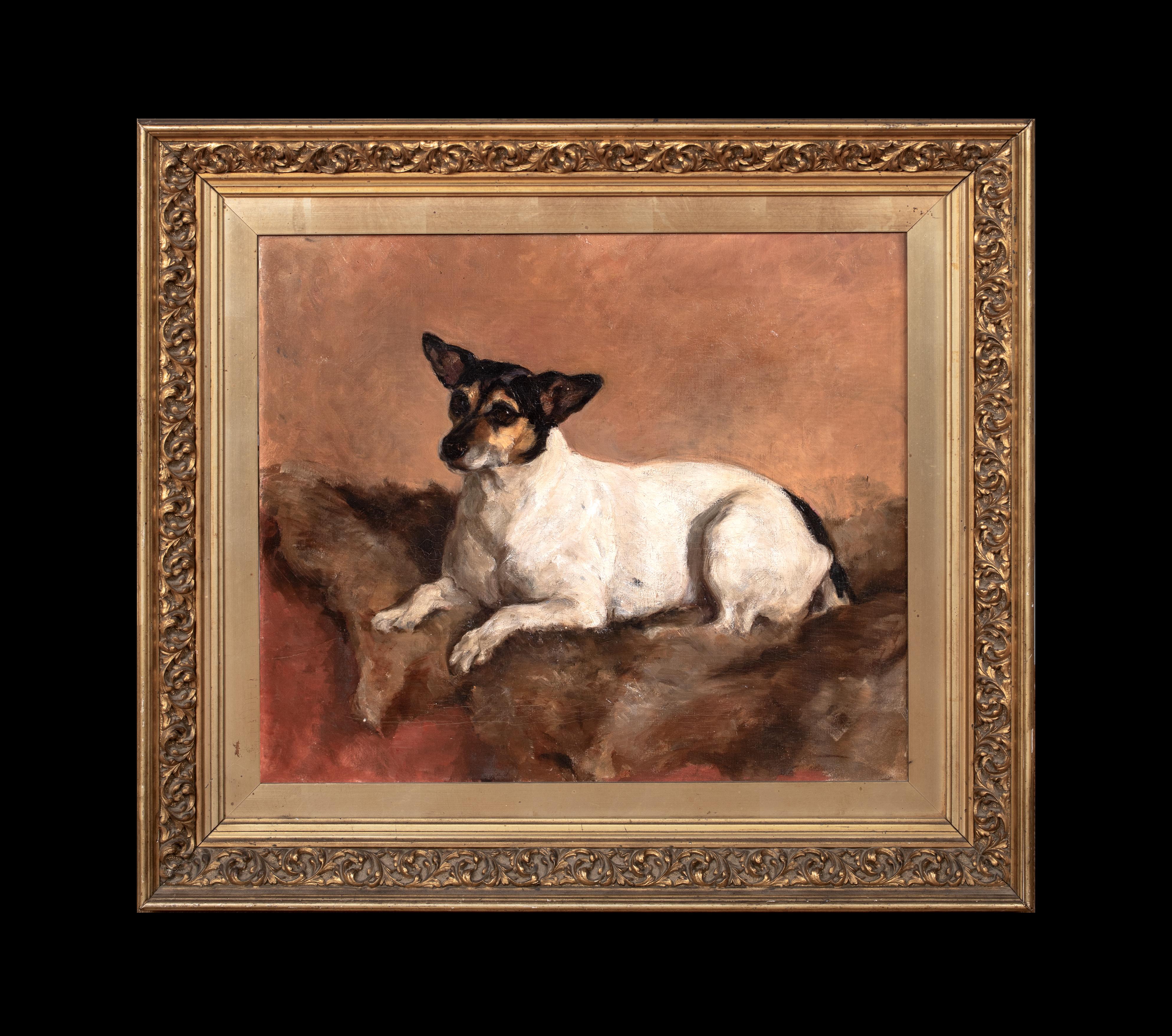 Ritratto di un cane Jack Russell Terrier, XIX secolo - Painting di Unknown