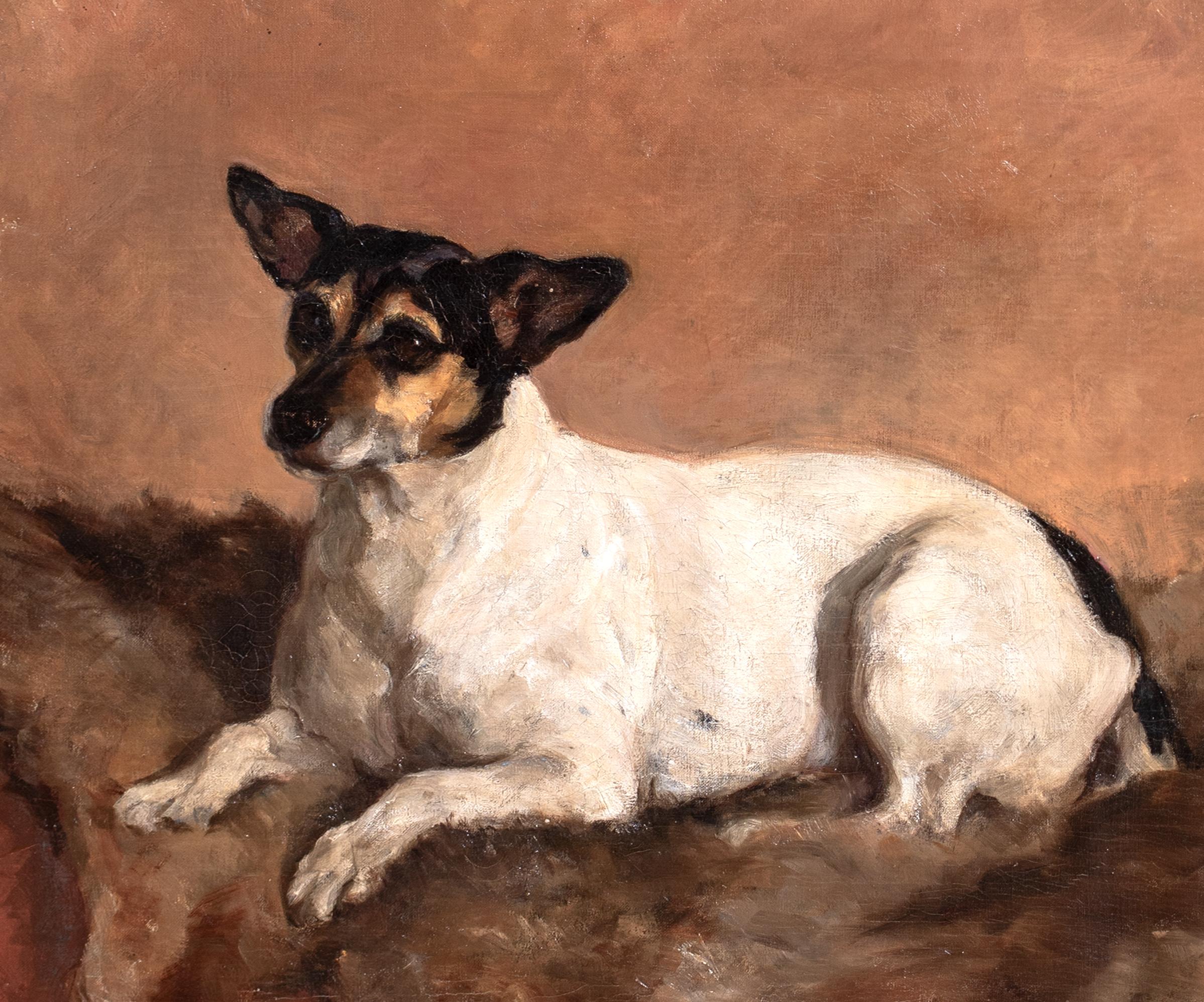 Ritratto di un cane Jack Russell Terrier, XIX secolo in vendita 1