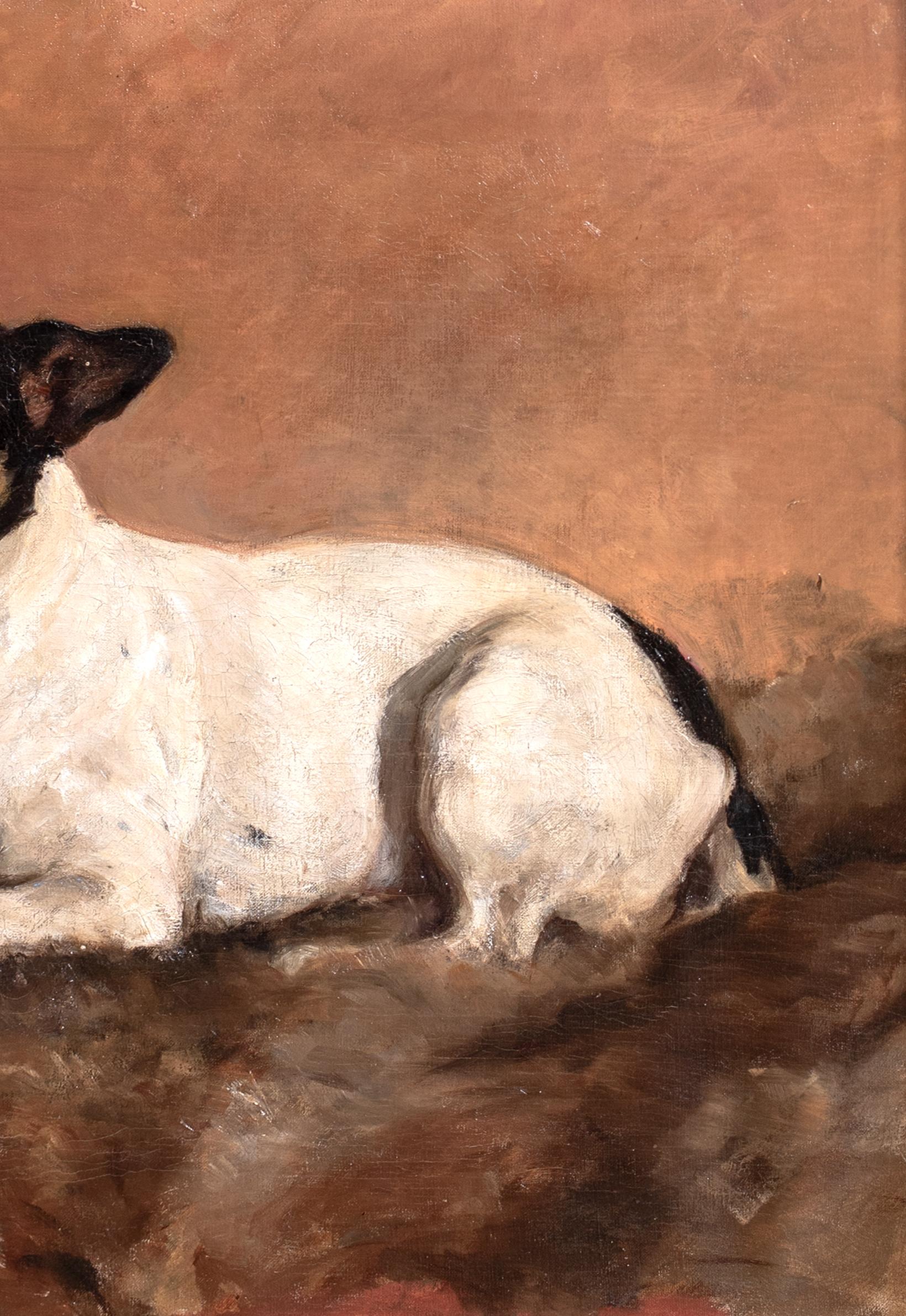 Ritratto di un cane Jack Russell Terrier, XIX secolo in vendita 2