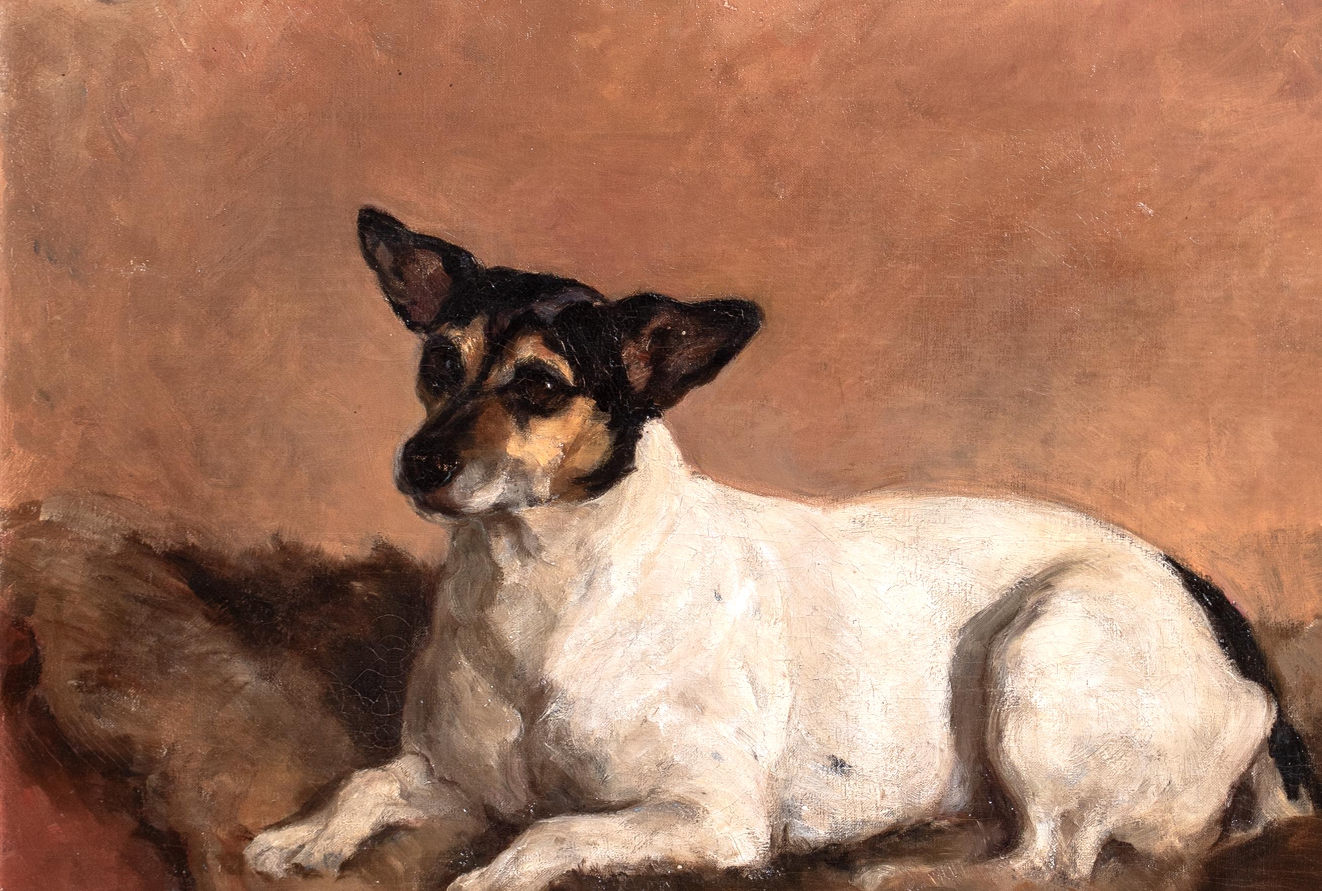 Ritratto di un cane Jack Russell Terrier, XIX secolo in vendita 3