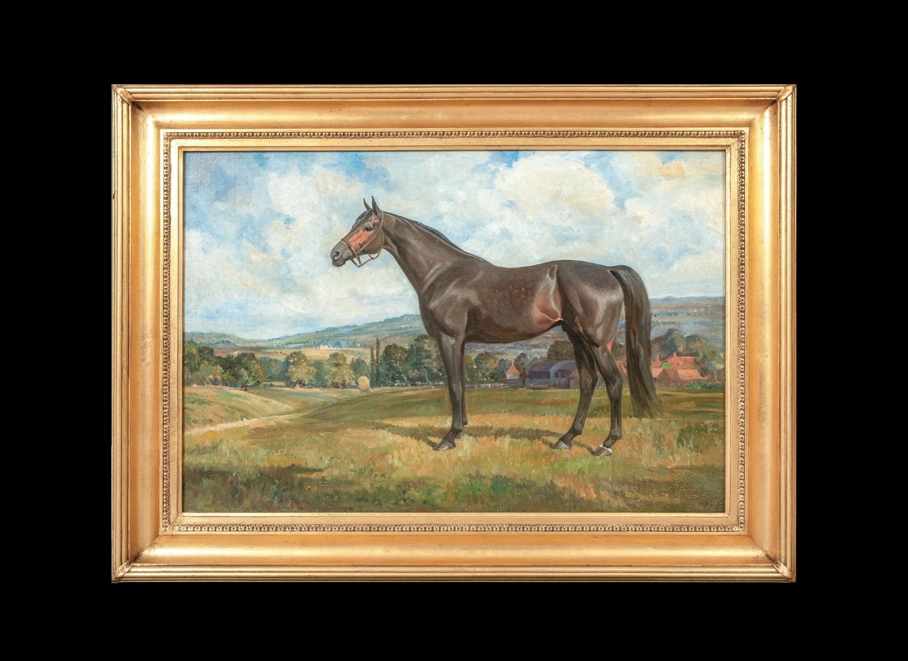 Portrait d'un cheval de course, 19e siècle  ADAMS (1843-1924)  Grandes pièces du 19e siècle - Painting de John Emms
