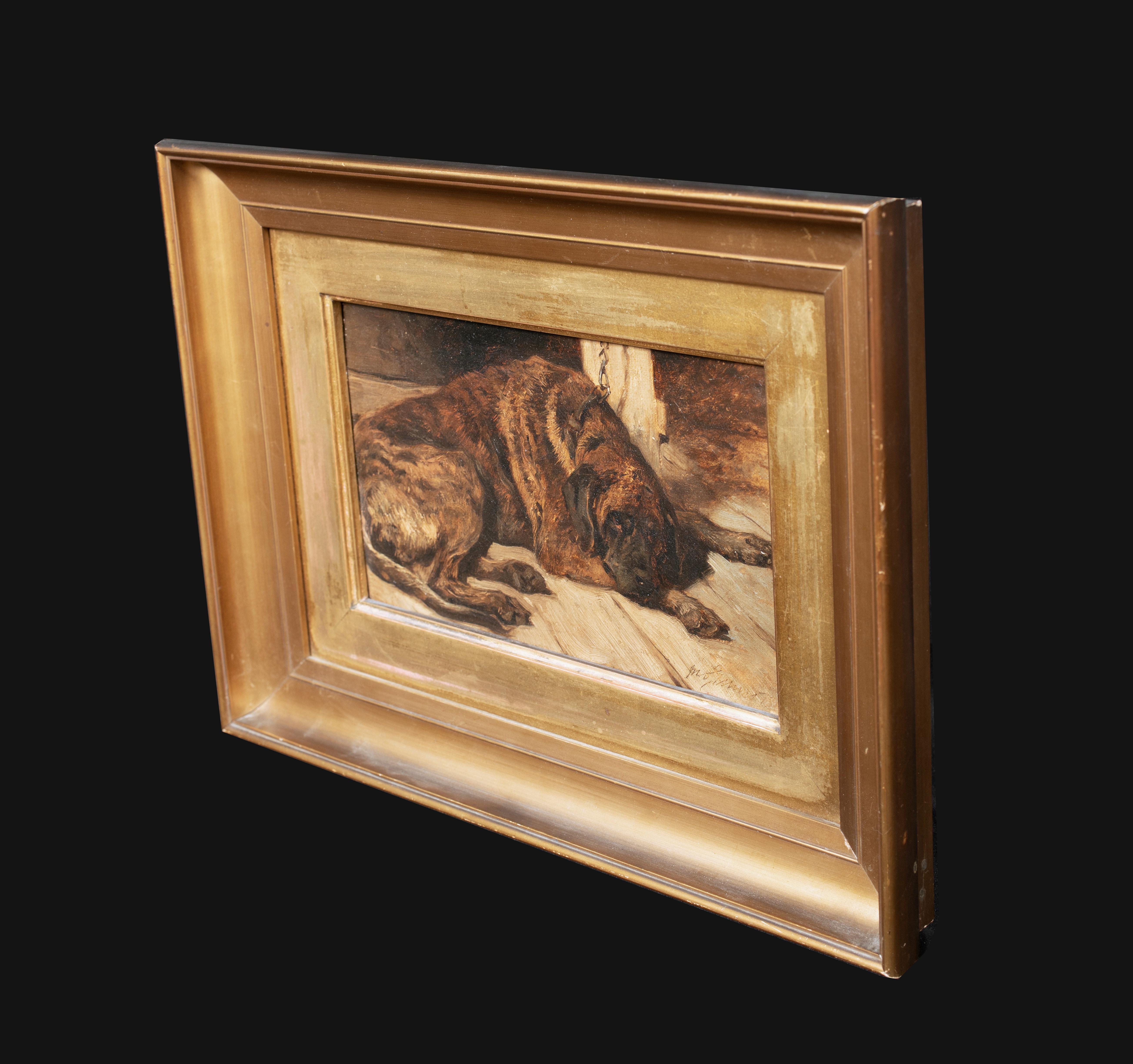 Portrait Of Brindle Coasted Mastiff Sleeping, 19th Century   1
