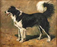 "Ruff", A collie
