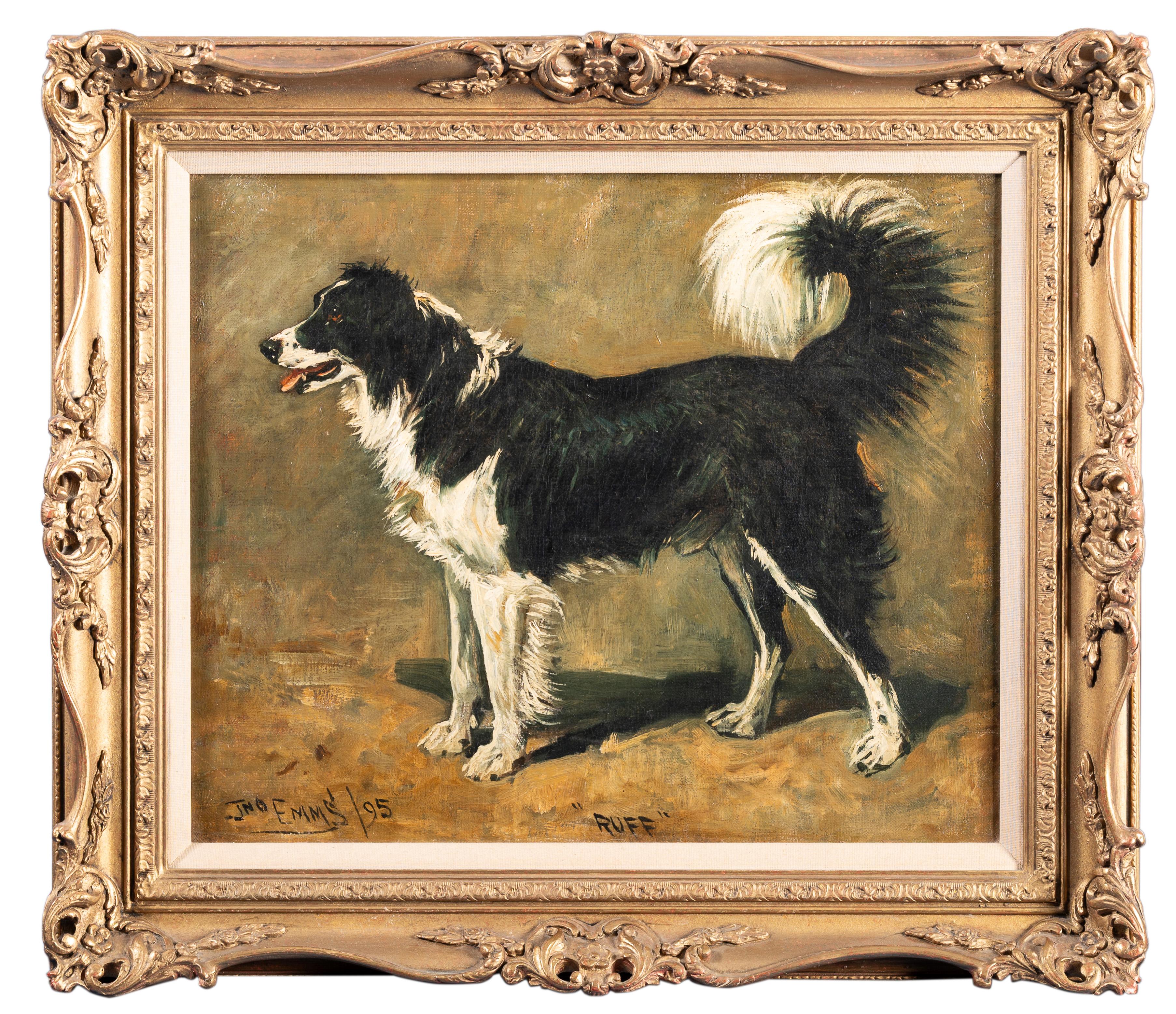 "Ruff", A collie