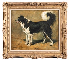 « Ruf », une collie