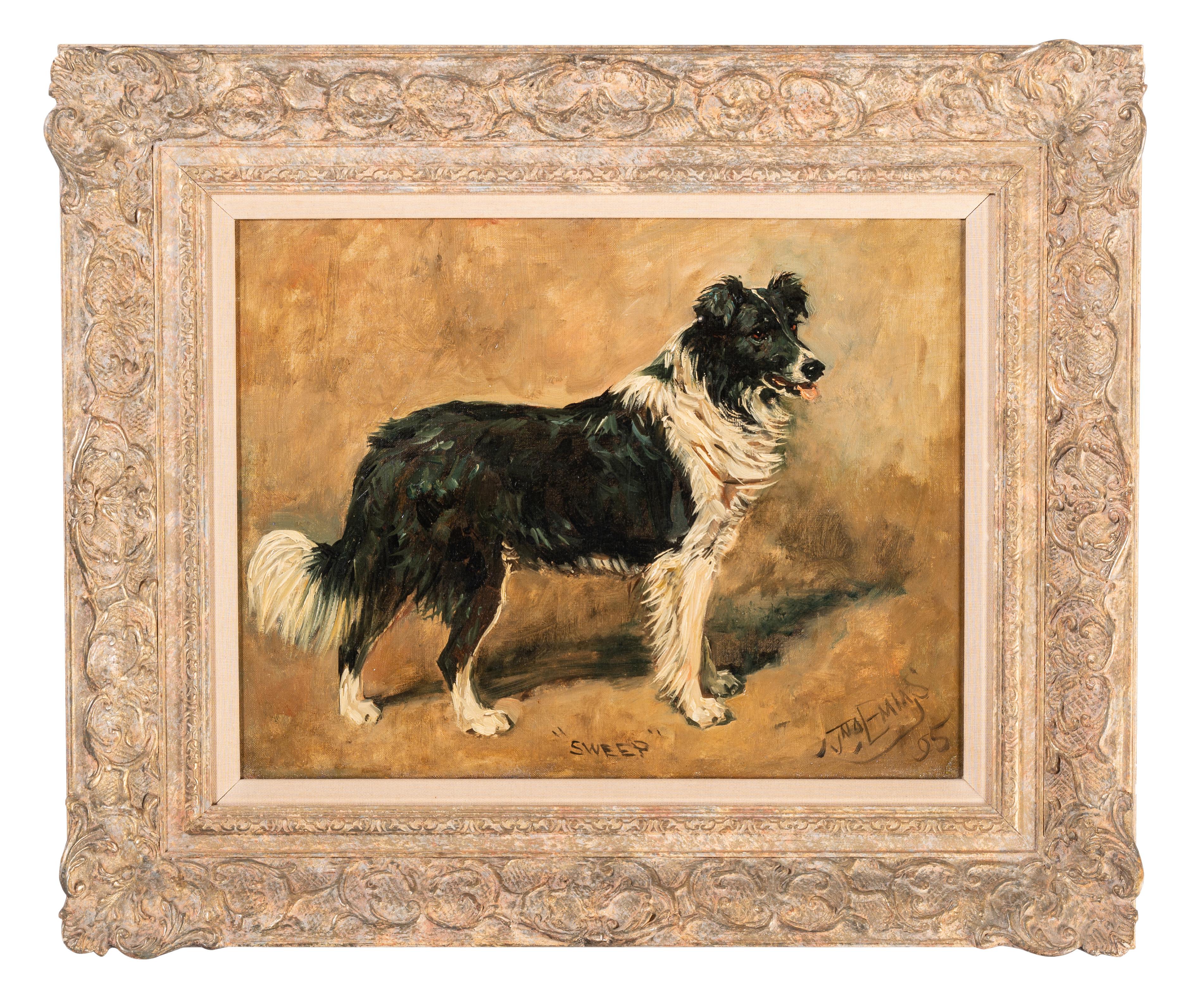 "Sweep", A collie